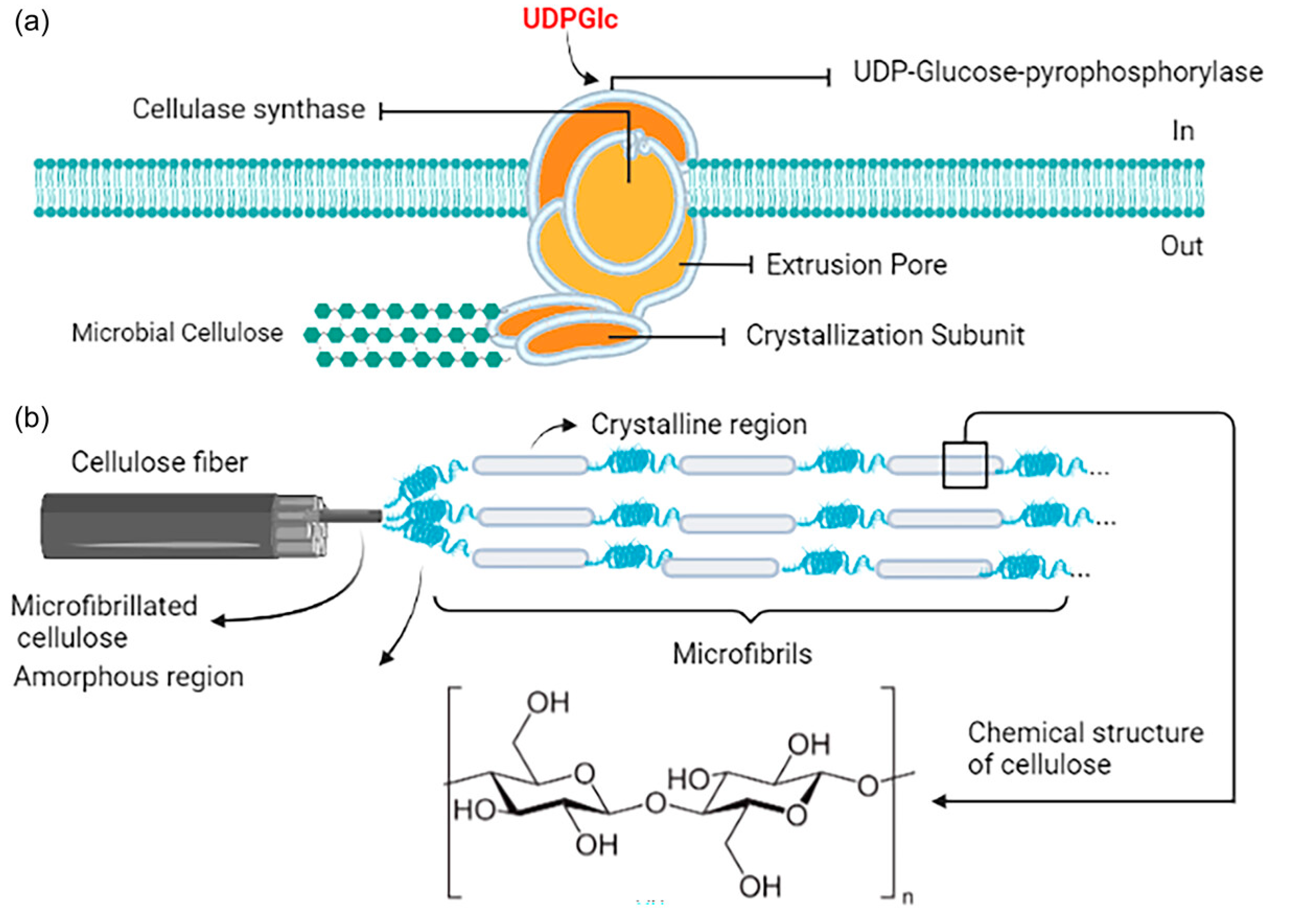 Forests 16 00163 g003 Forests 16 00163 g003