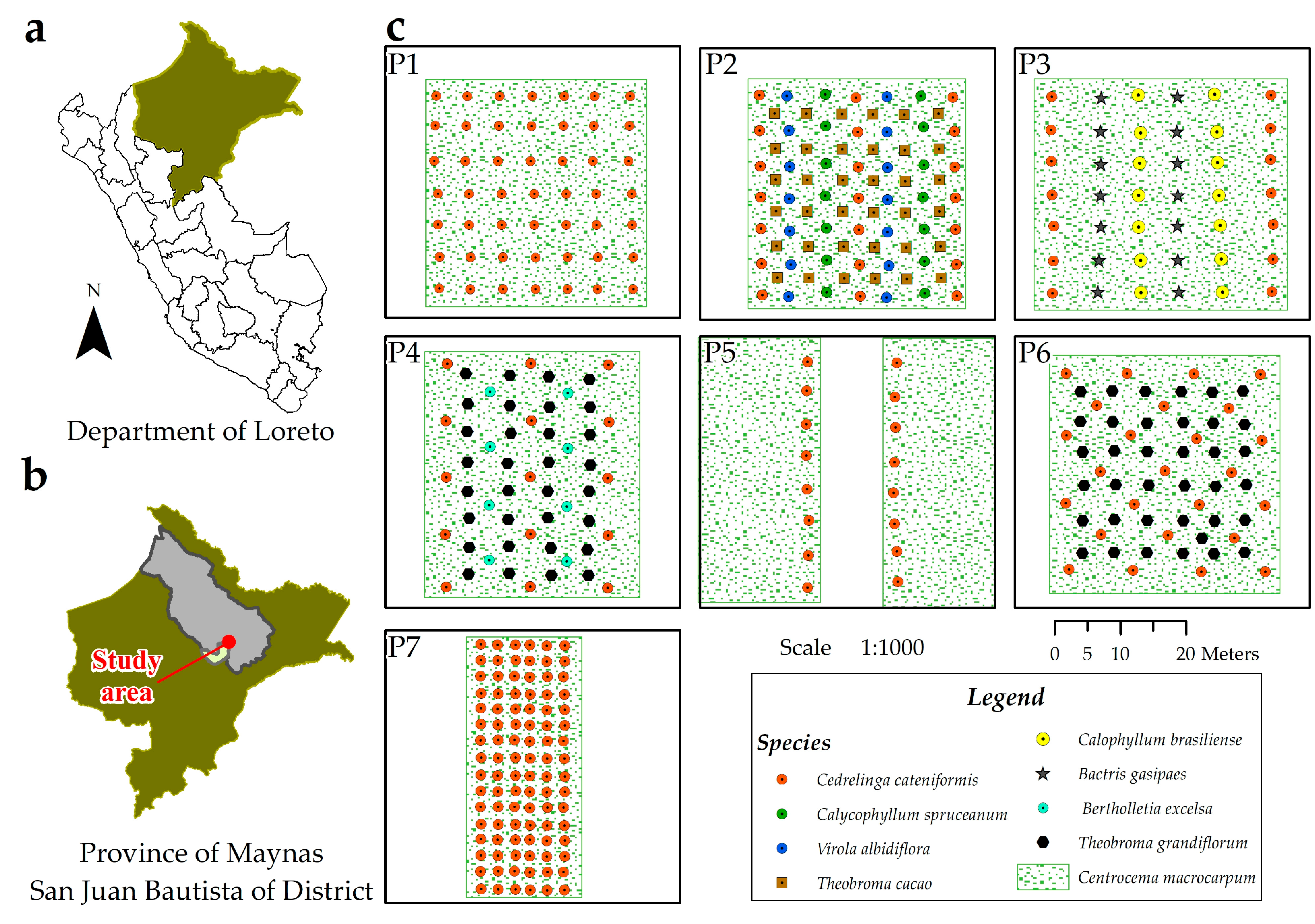 Forests 16 00164 g001