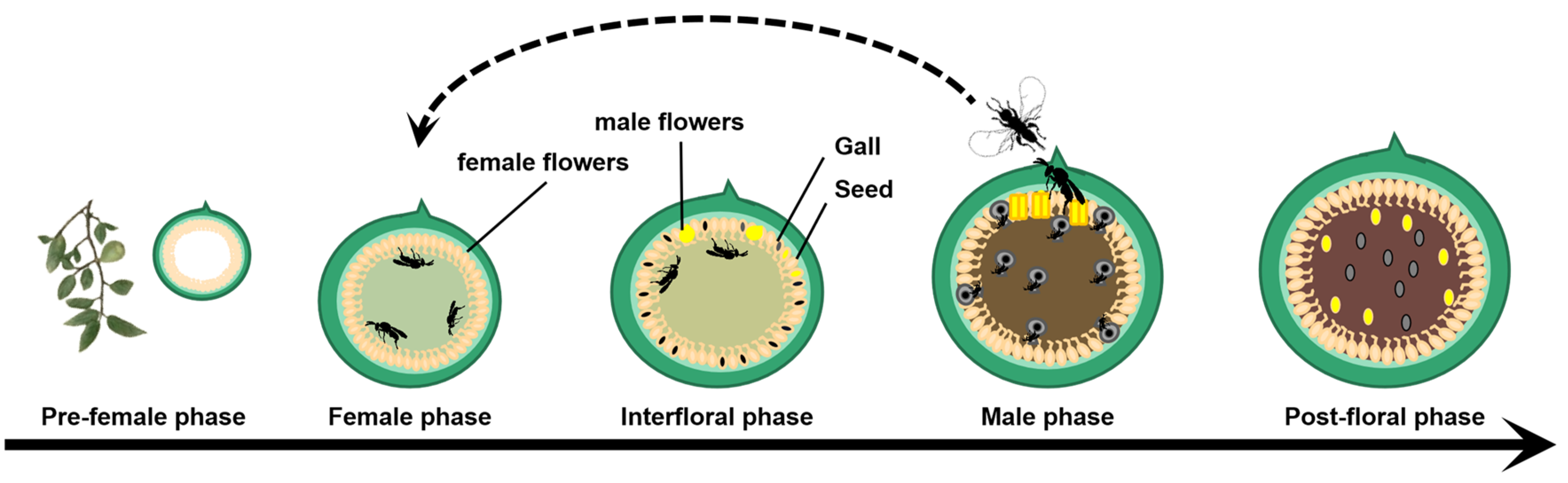 Forests 16 00165 g001