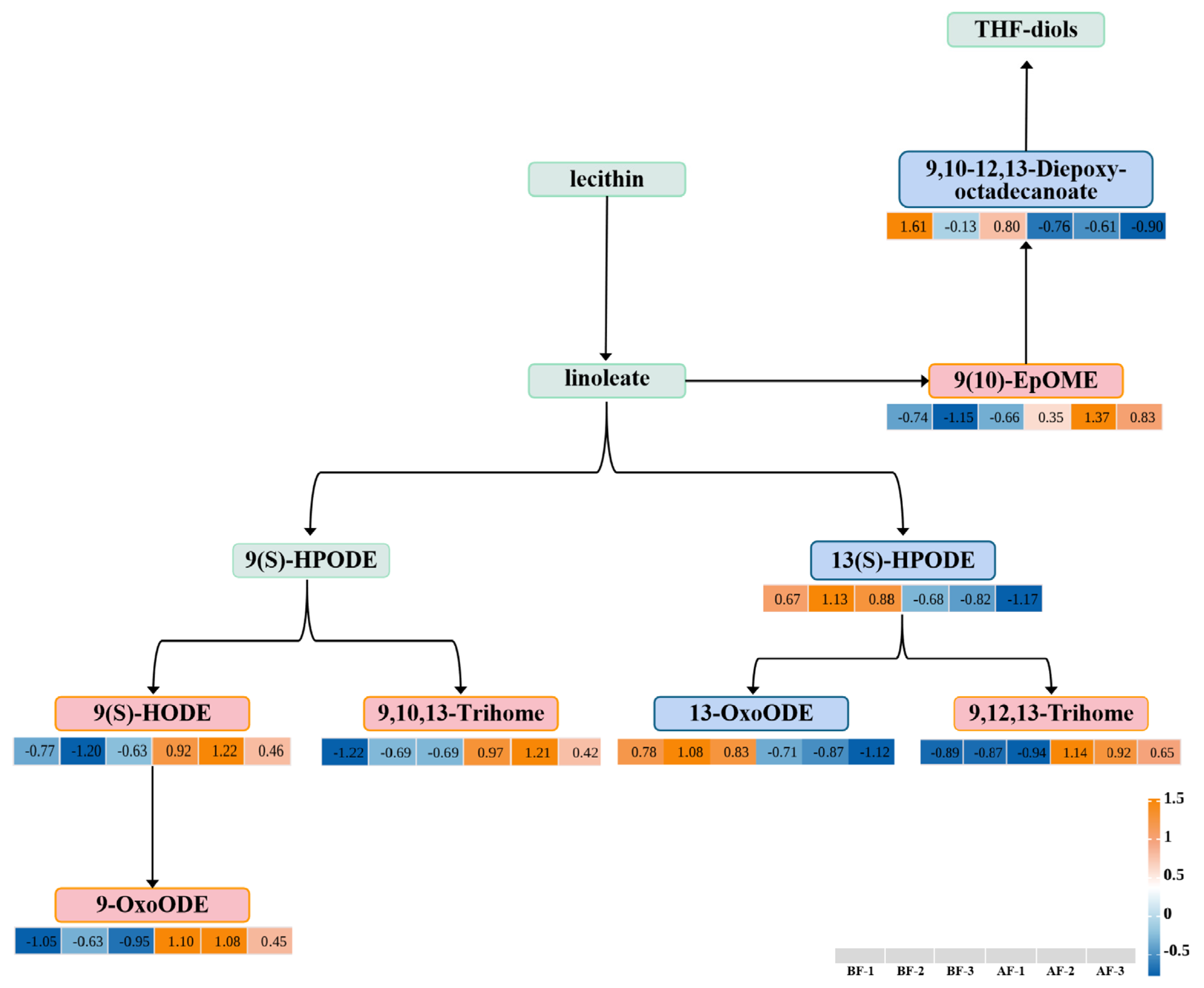 Forests 16 00165 g007