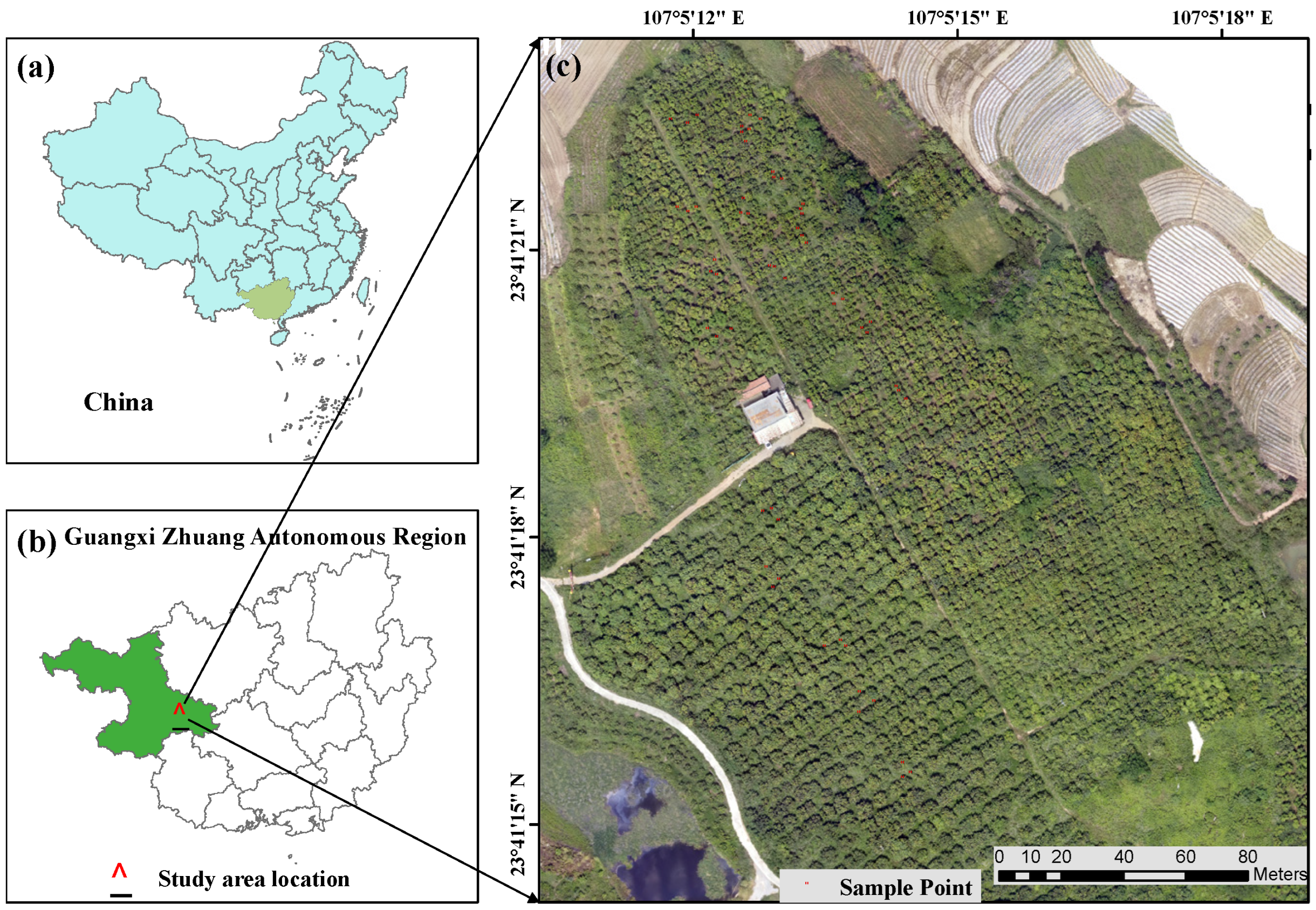 Forests 16 00167 g001