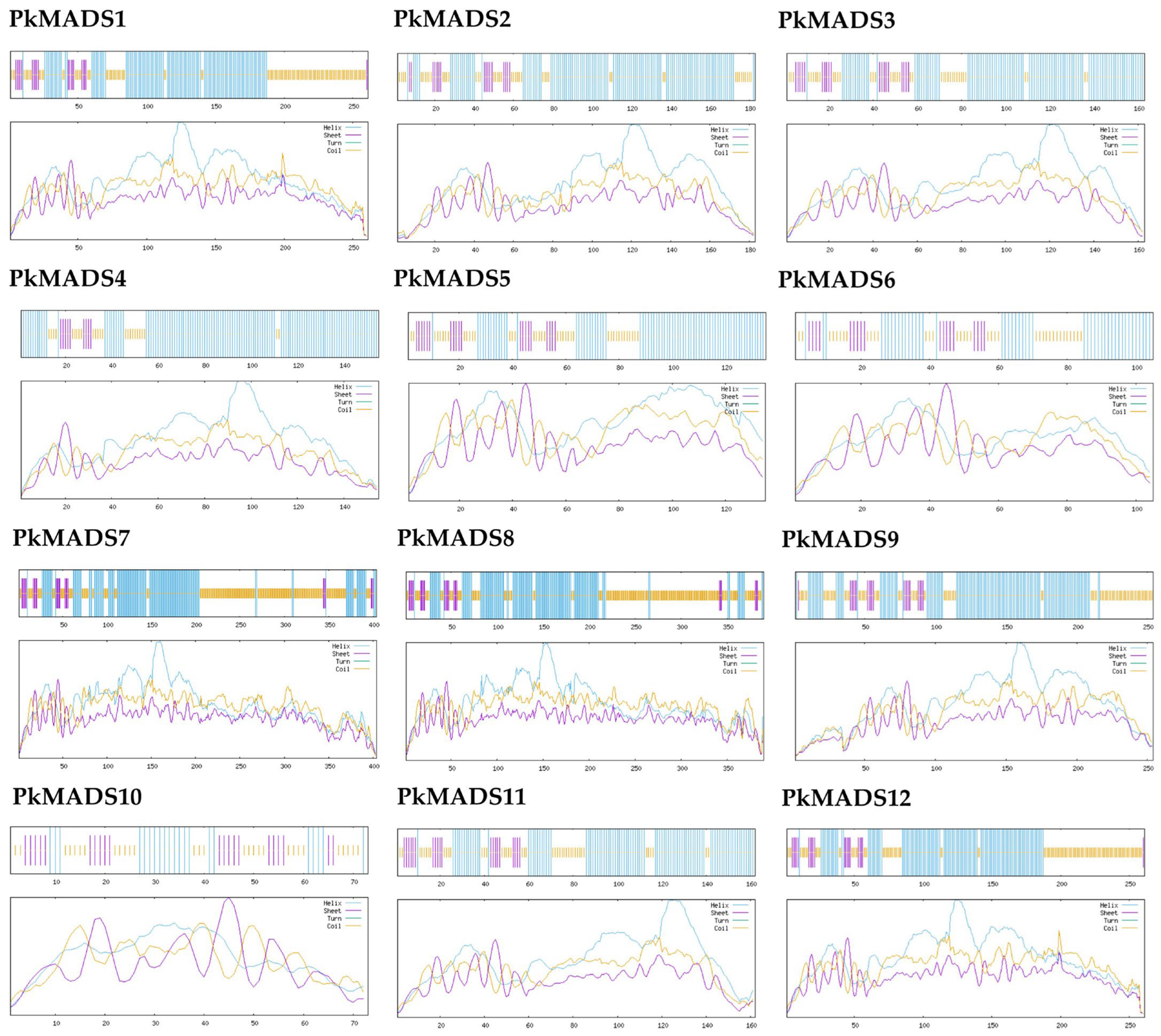 Forests 16 00168 g002