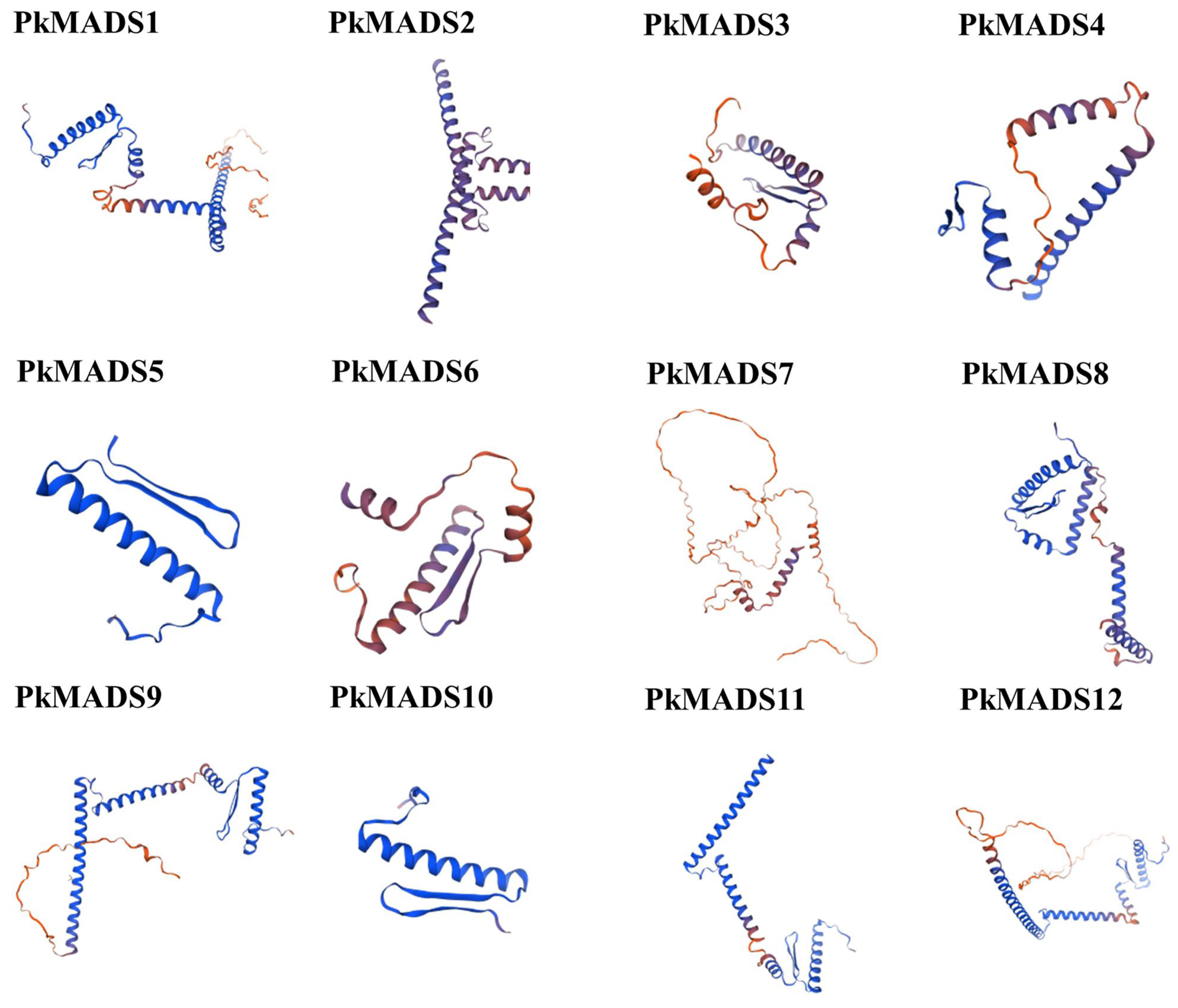 Forests 16 00168 g003