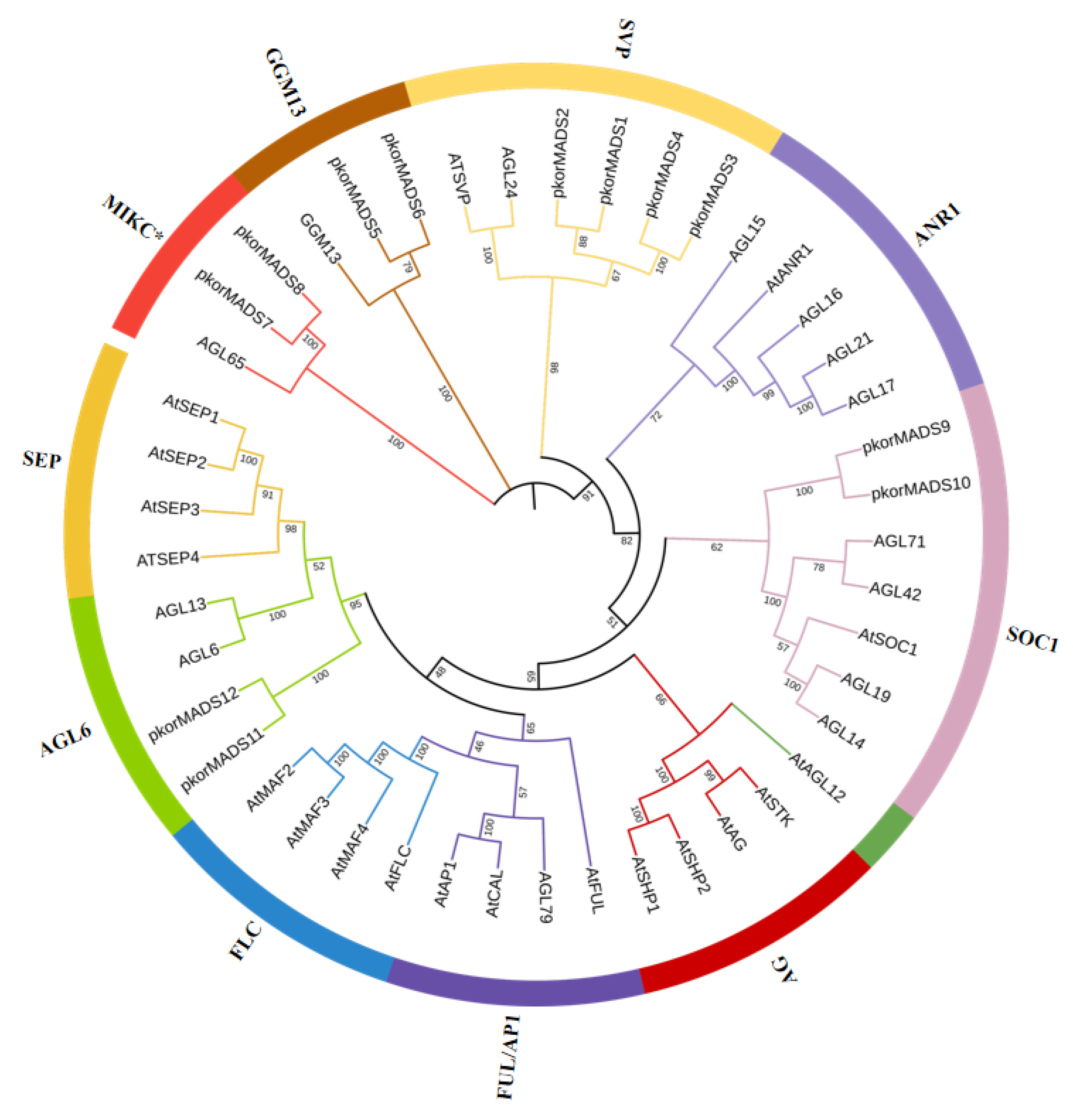 Forests 16 00168 g004