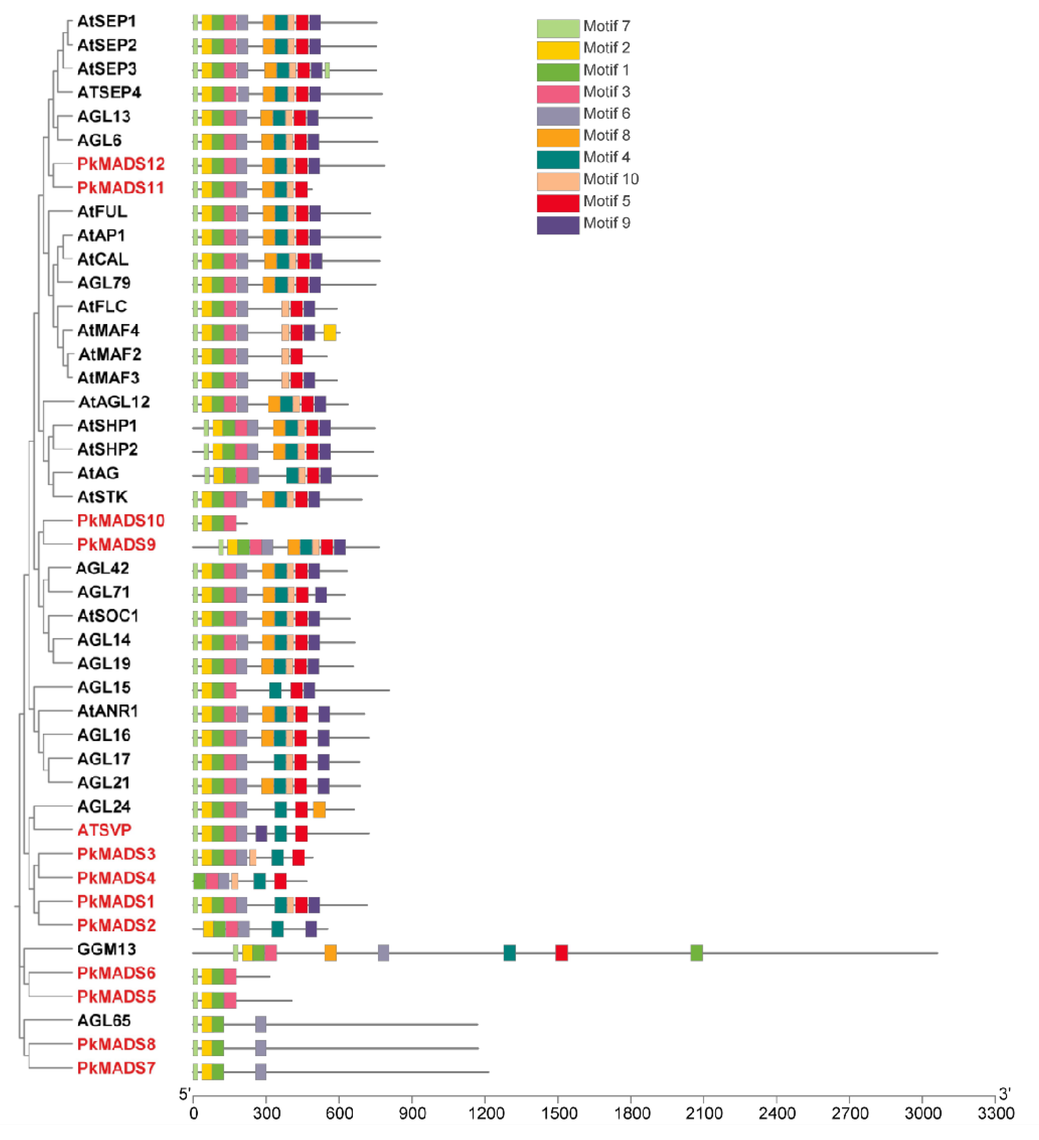 Forests 16 00168 g005