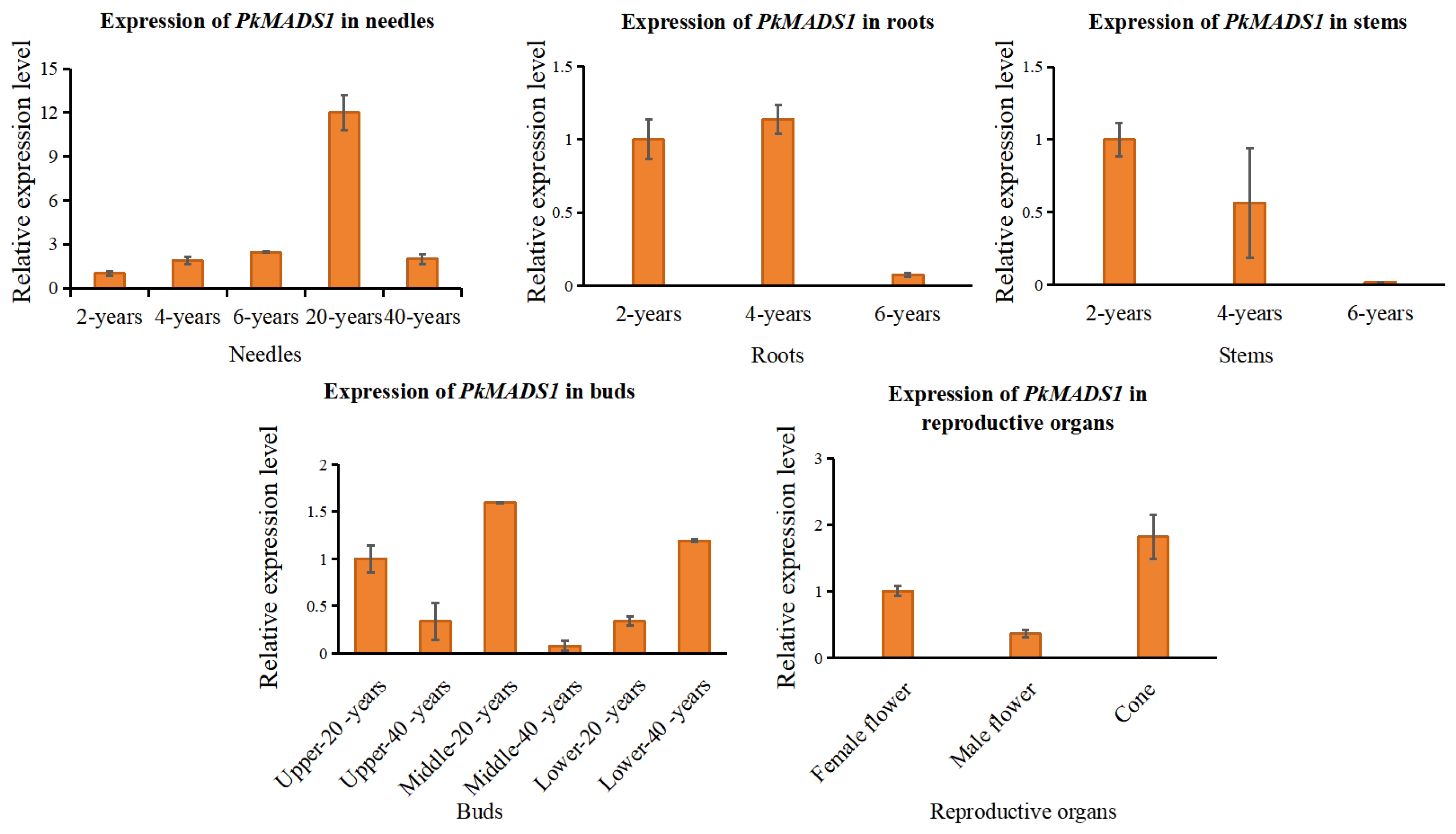 Forests 16 00168 g006