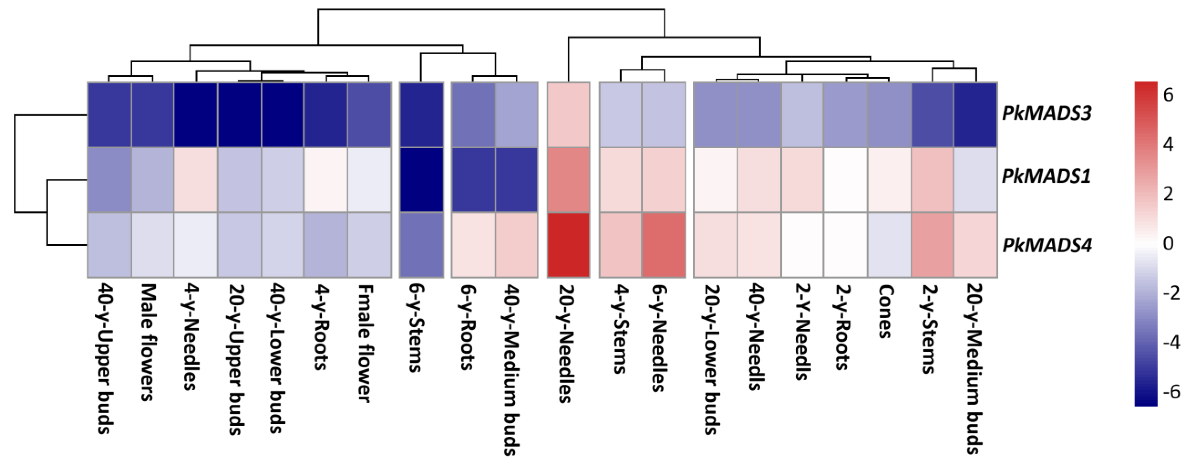Forests 16 00168 g010