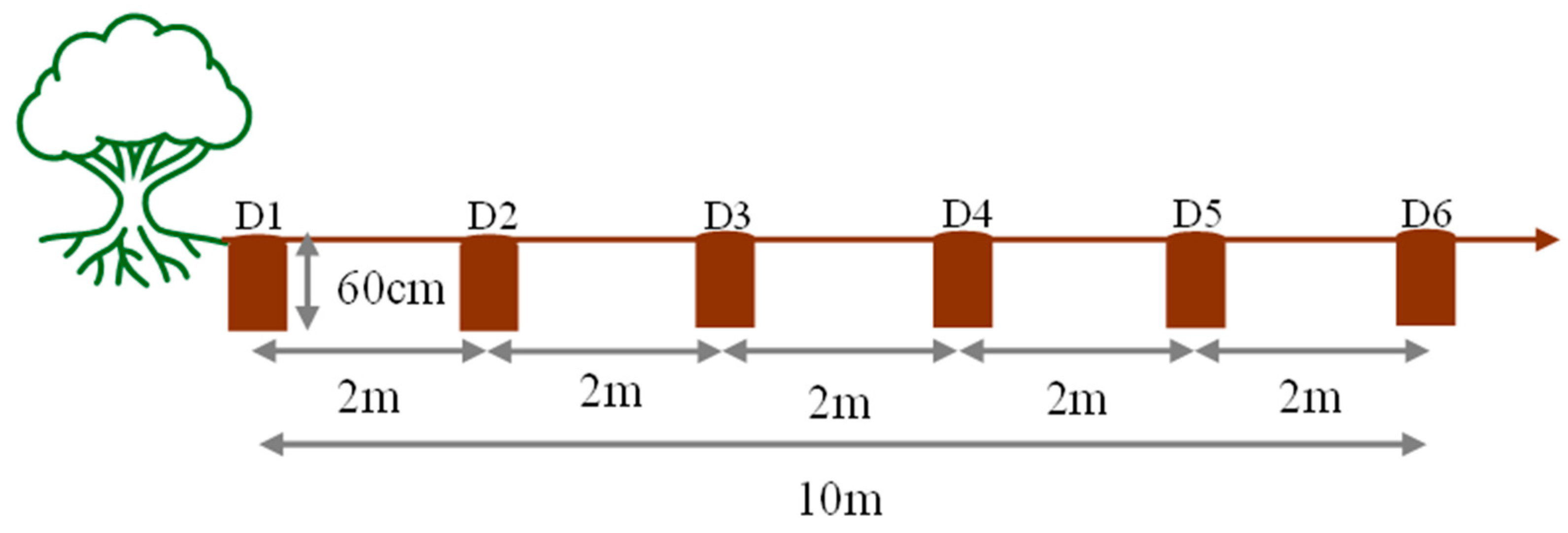 Forests 16 00169 g004