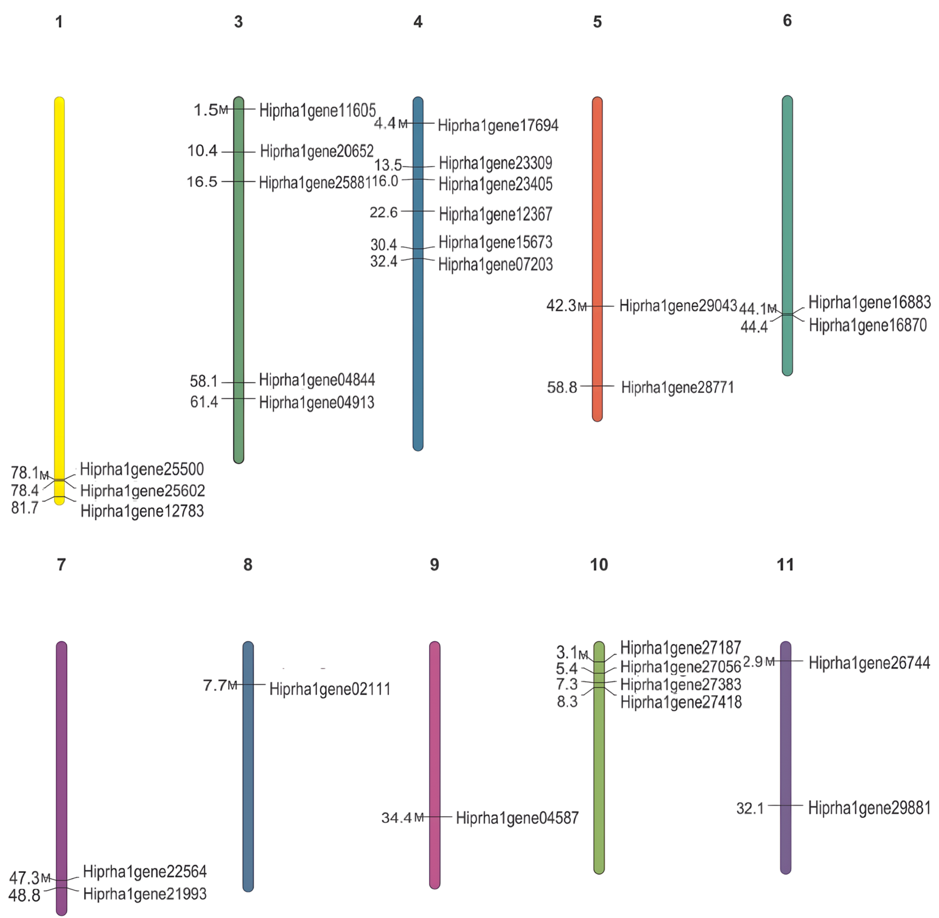 Genome-Wide Identification and Characterization of the Genome-Wide Identification and Characterization of the
