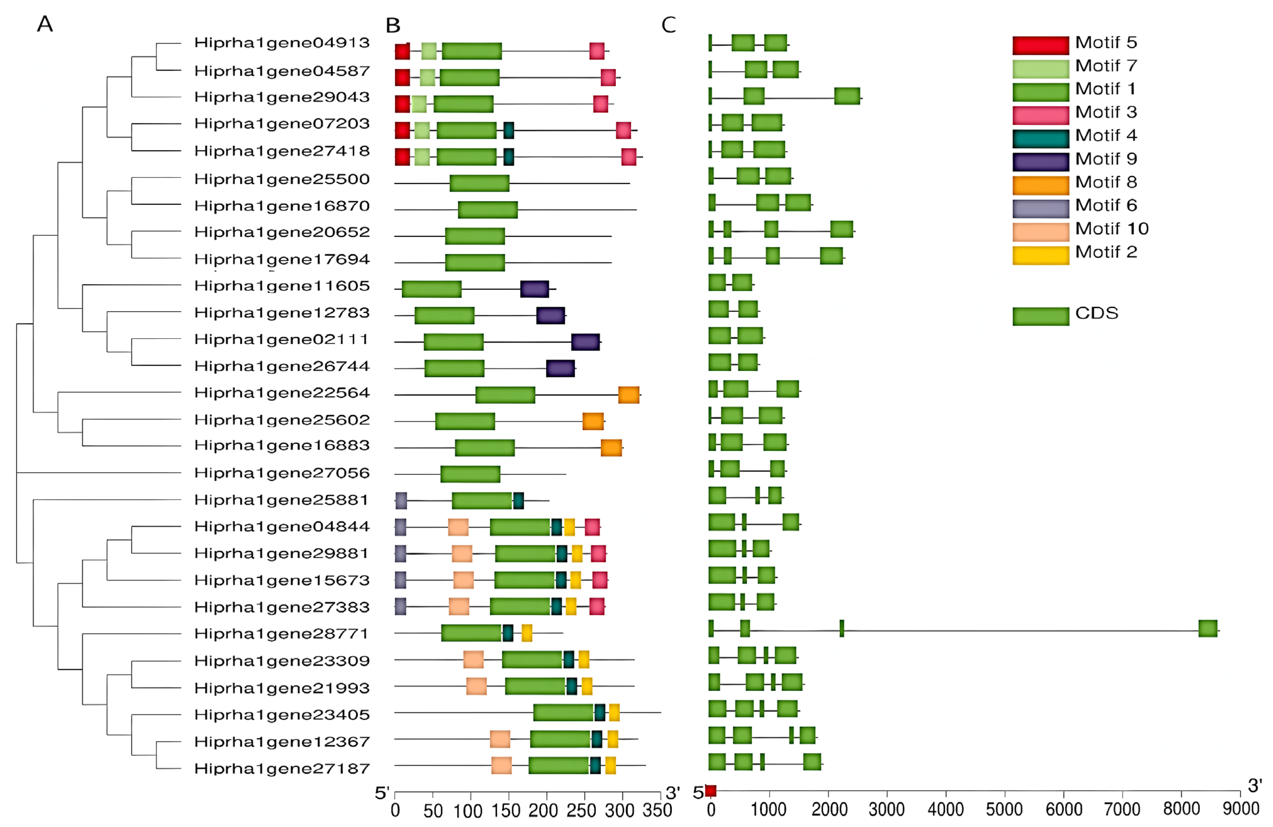 Forests 16 00171 g004