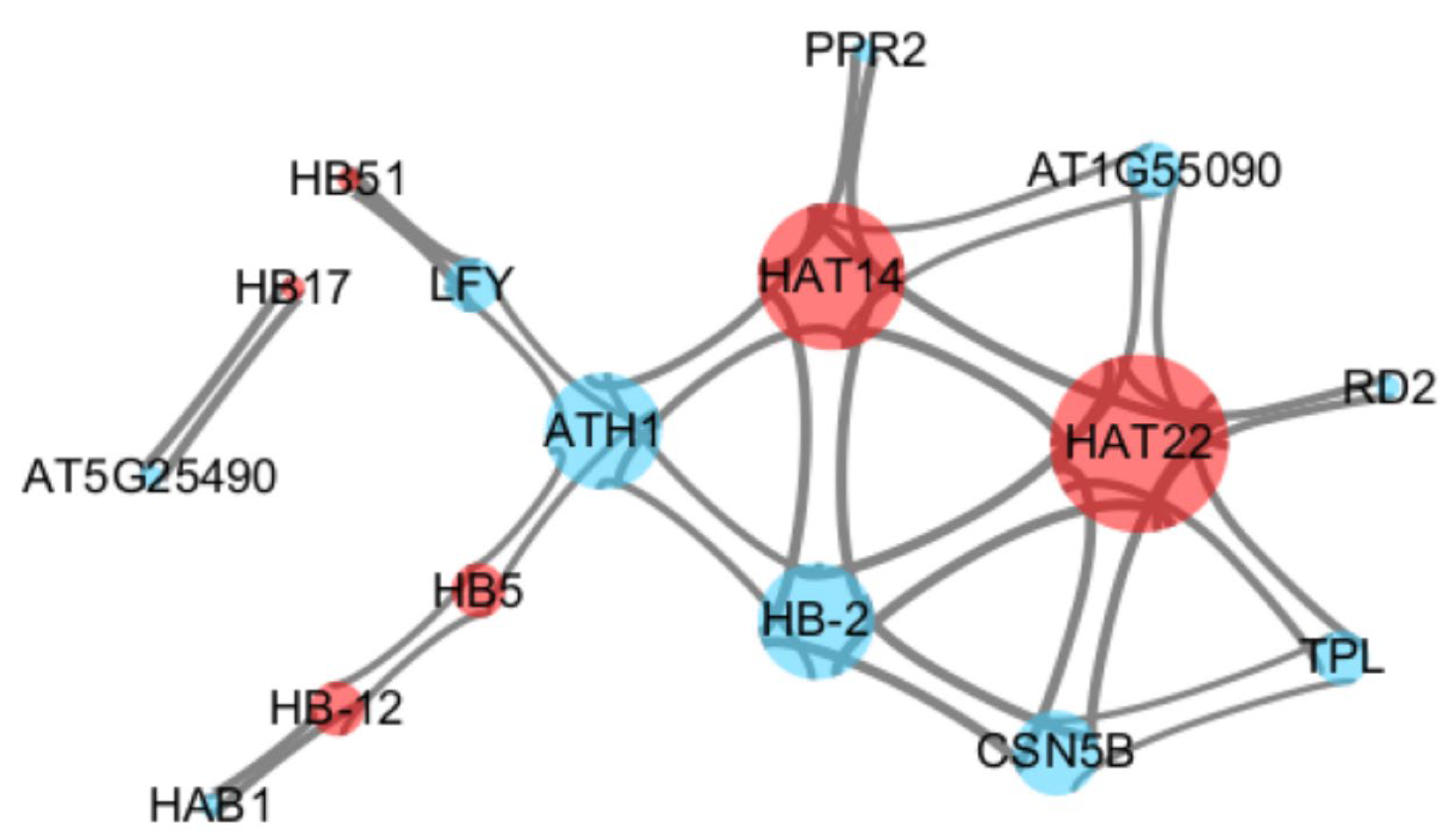 Forests 16 00171 g012