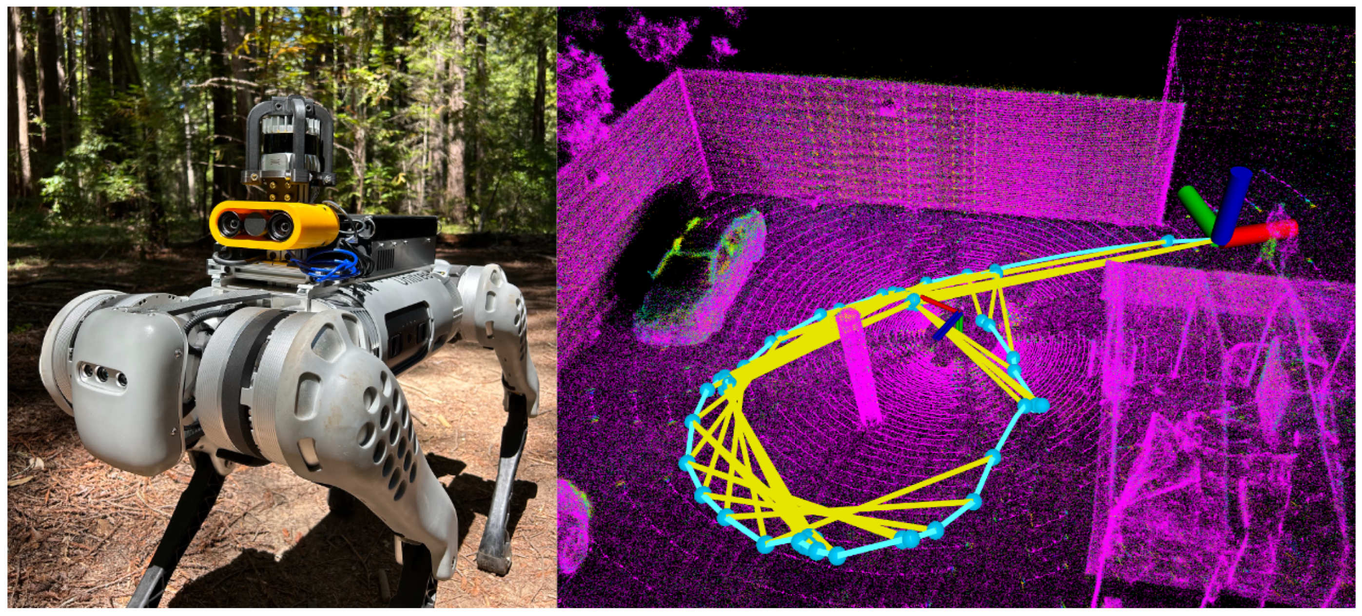 Forests 16 00173 g002