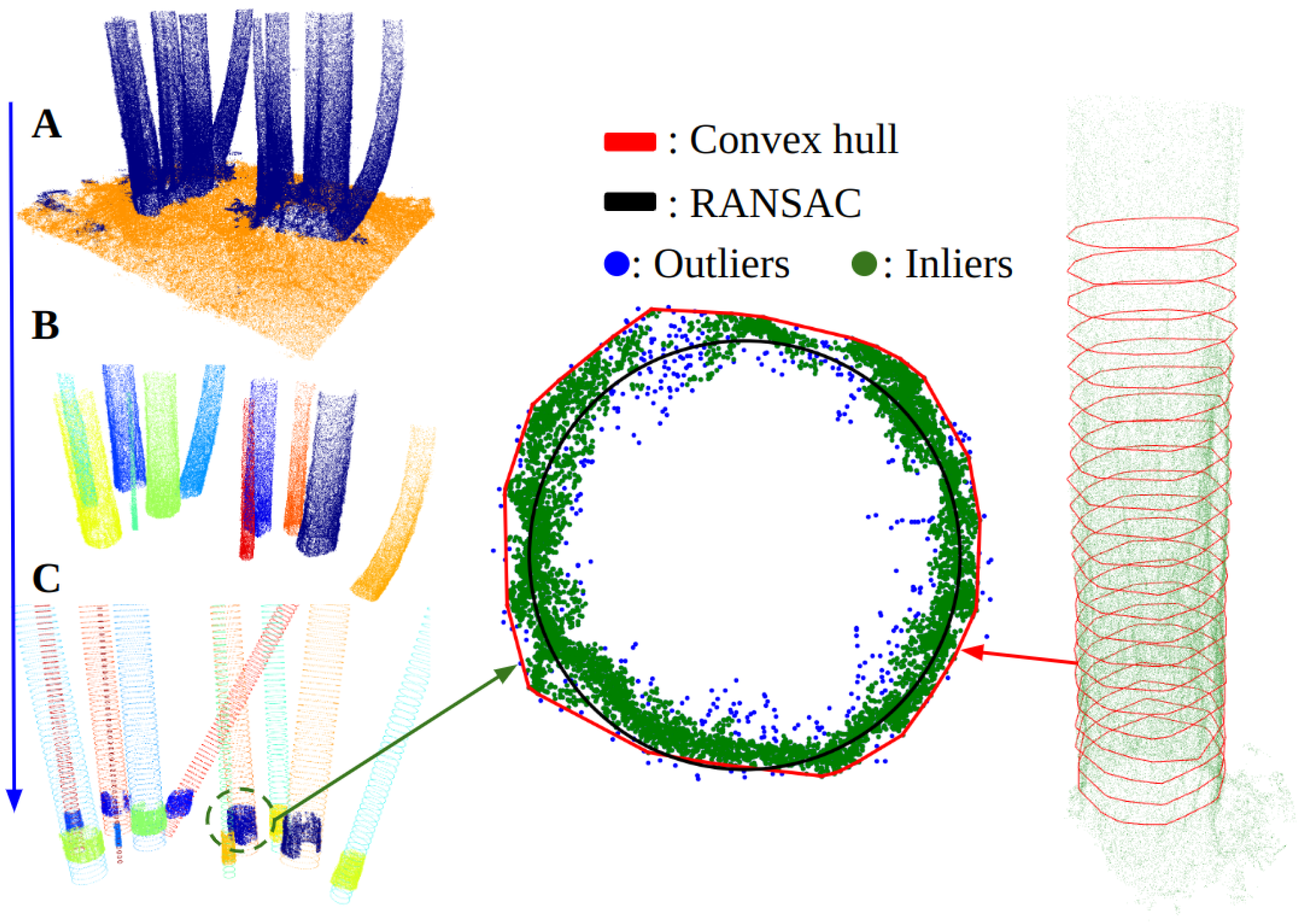 Forests 16 00173 g003