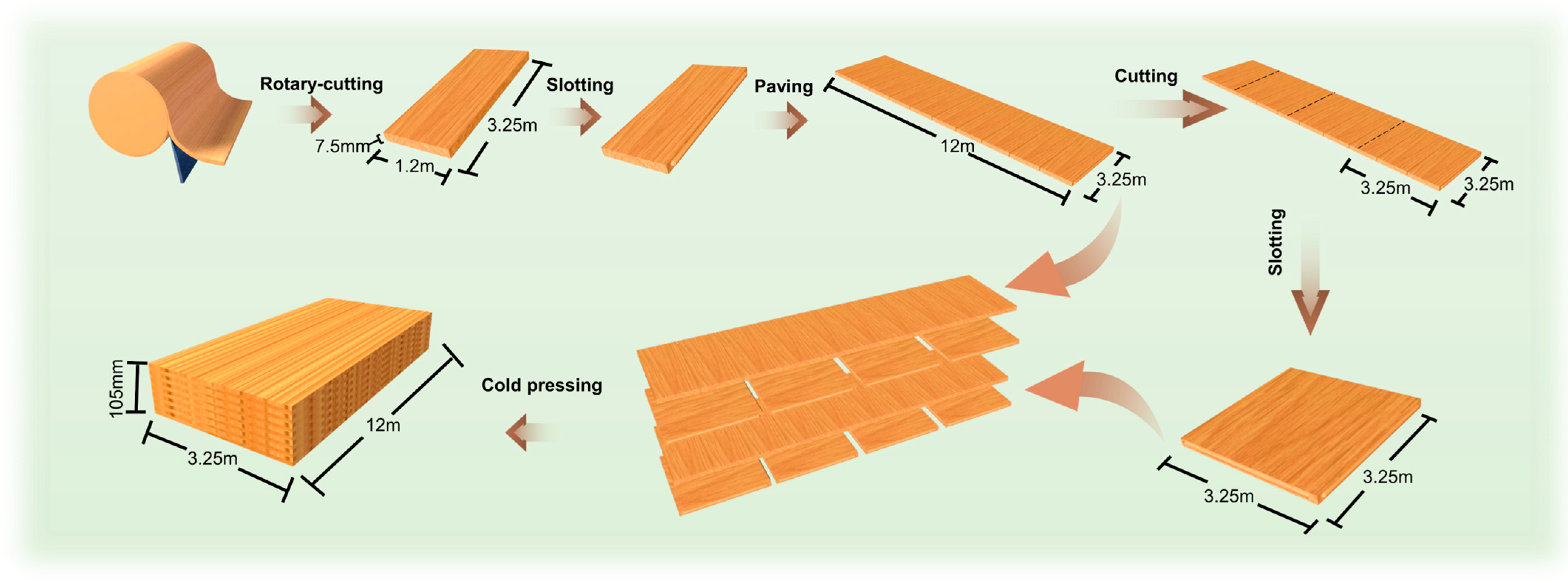 Forests 16 00181 g005