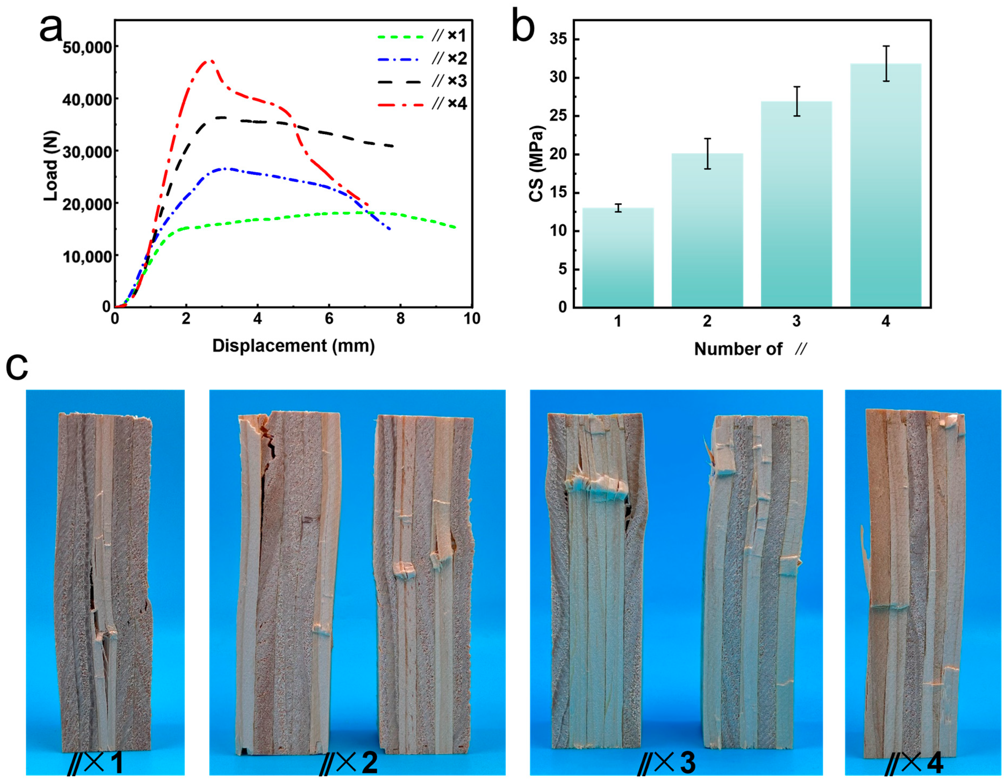 Forests 16 00181 g007
