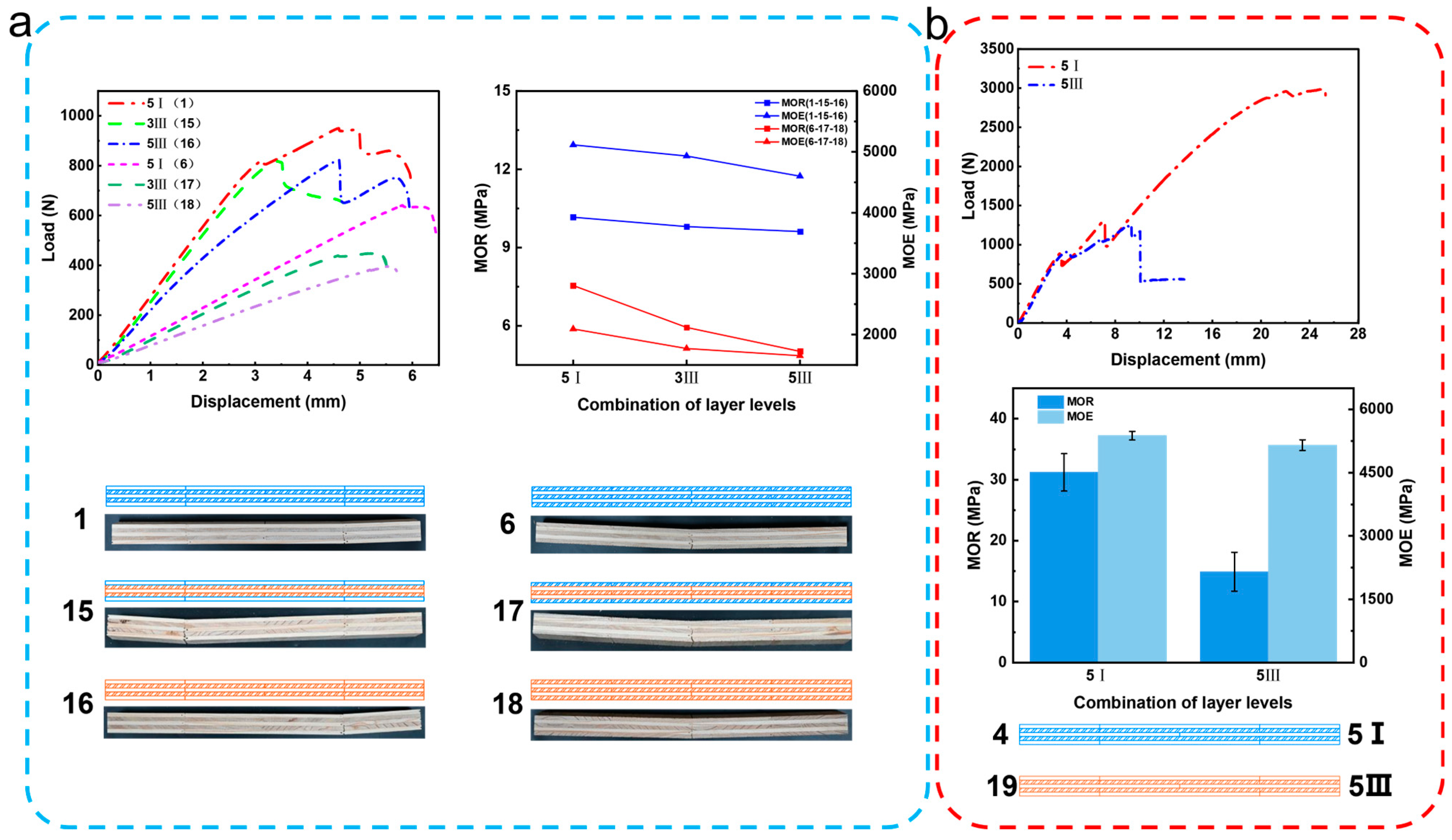 Forests 16 00181 g013
