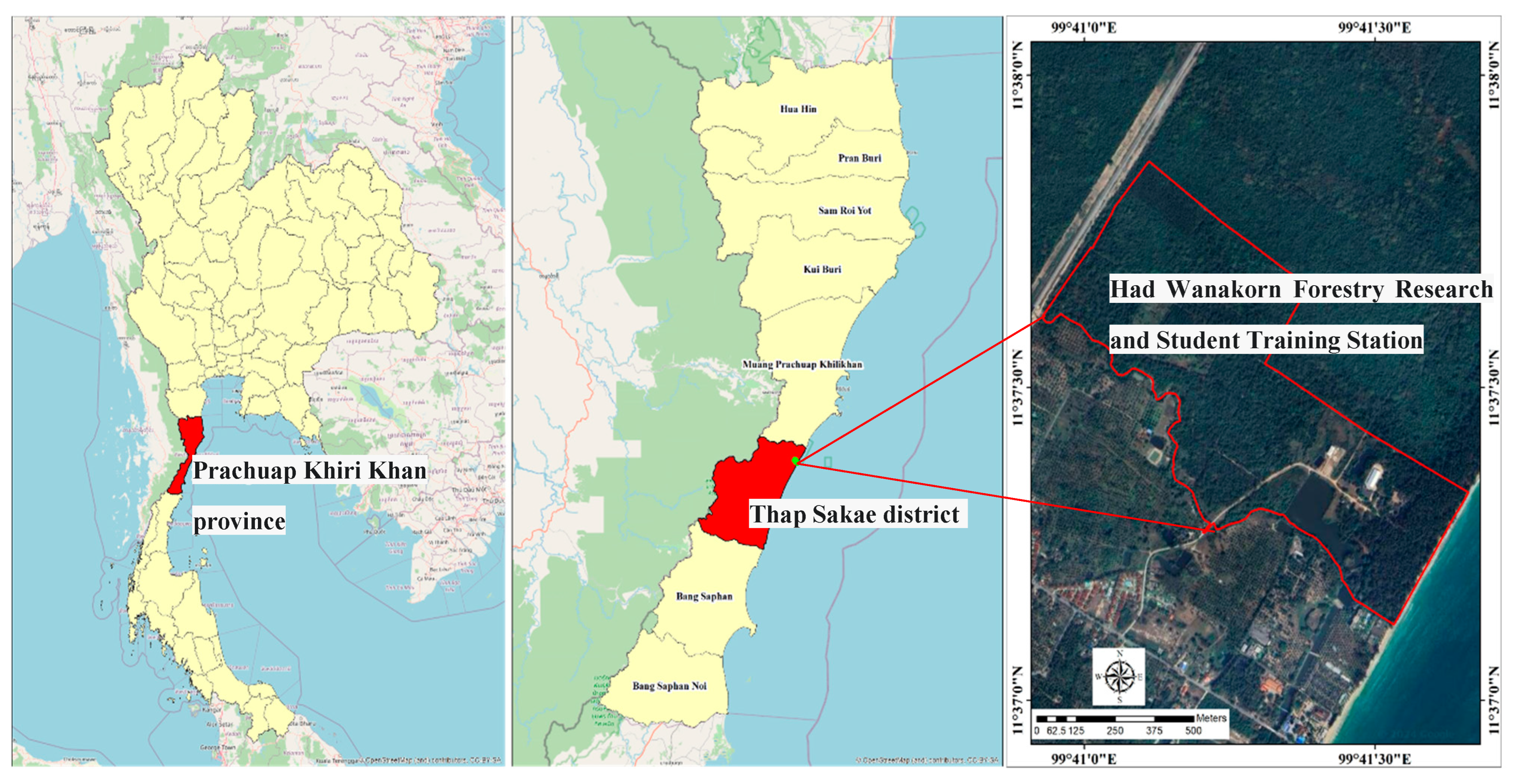 Forests 16 00182 g001