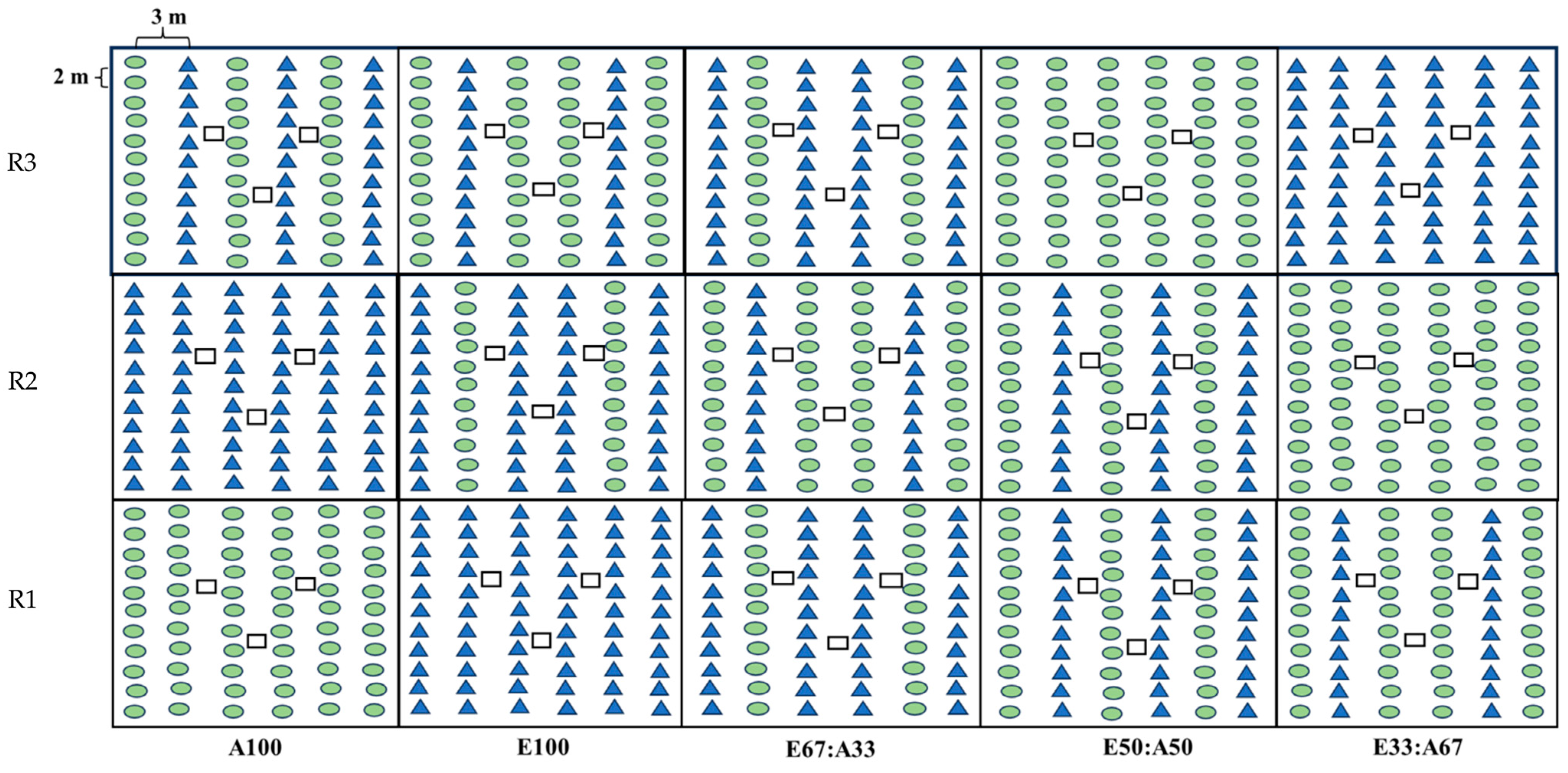 Forests 16 00182 g002