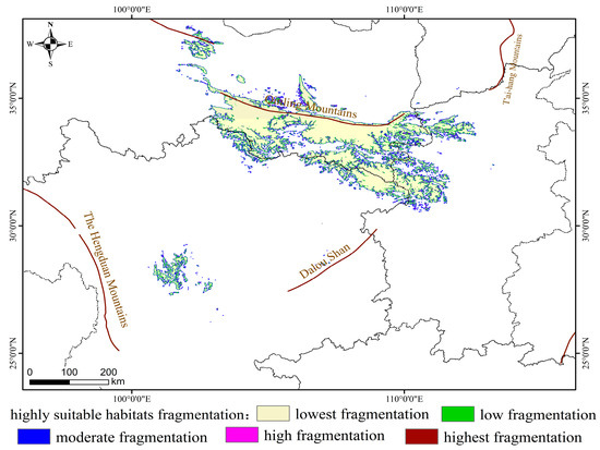 Climate Change Drives the Adaptive Distribution and Habitat