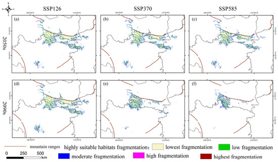 Climate Change Drives the Adaptive Distribution and Habitat