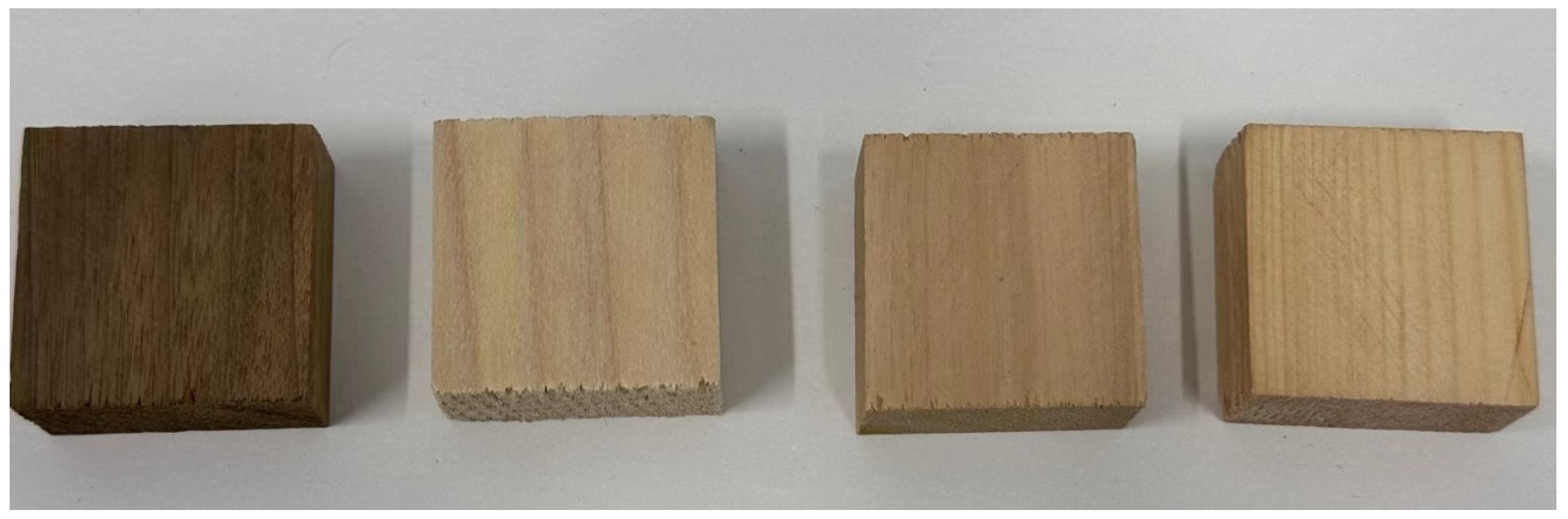 Forests 16 00186 g001