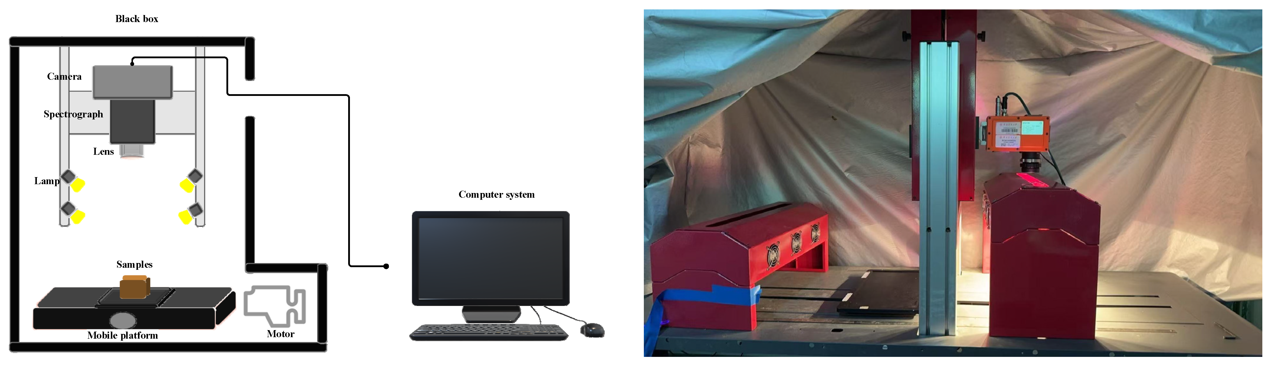 Forests 16 00186 g002