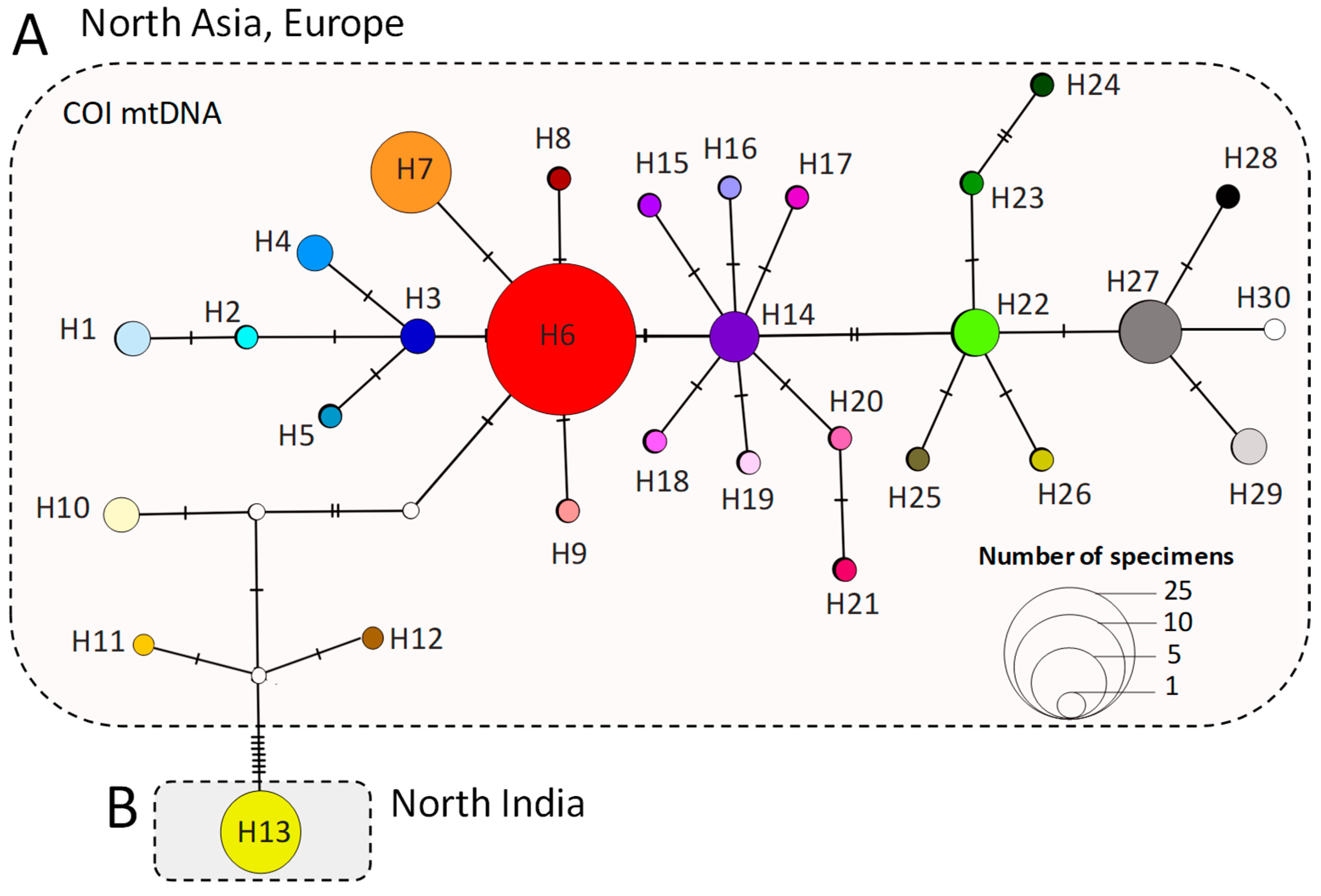 Forests 16 00190 g007