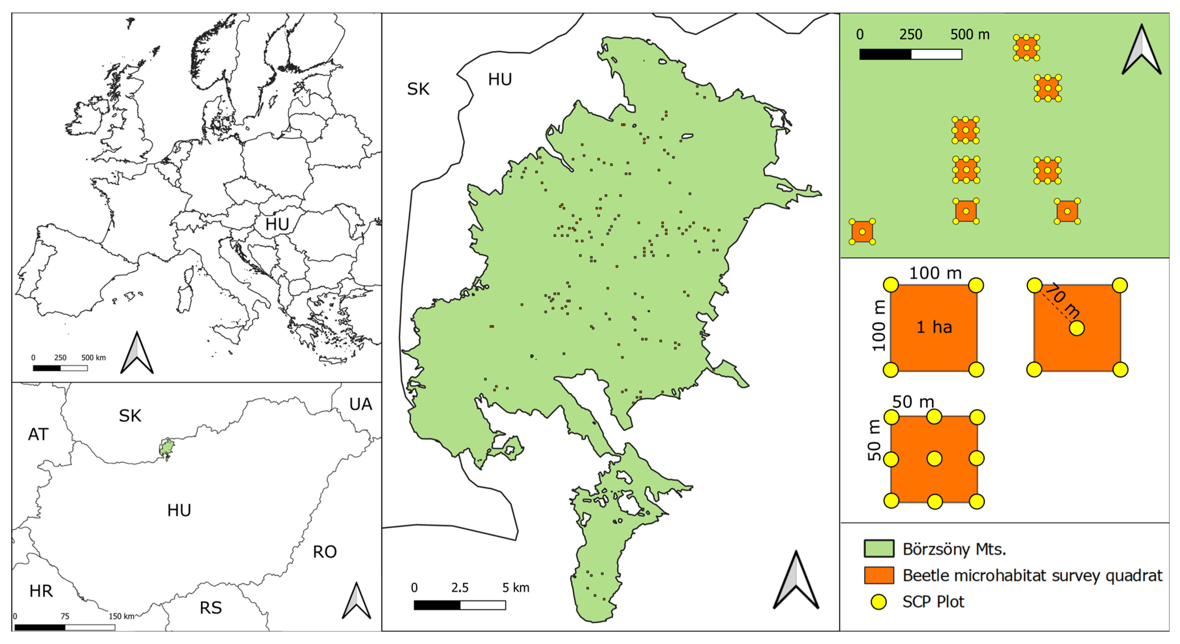 Forests 16 00195 g001