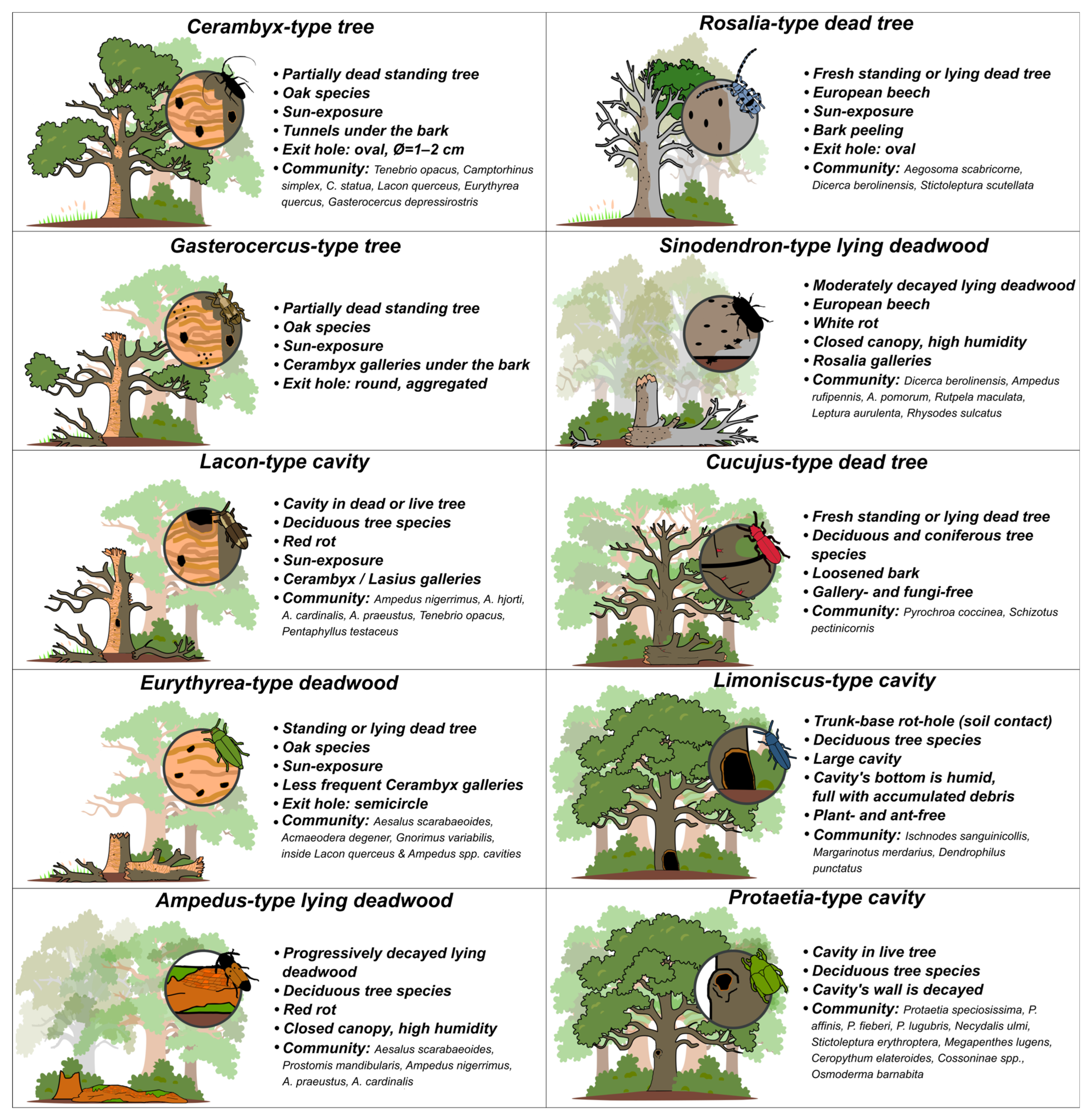 Forests 16 00195 g002