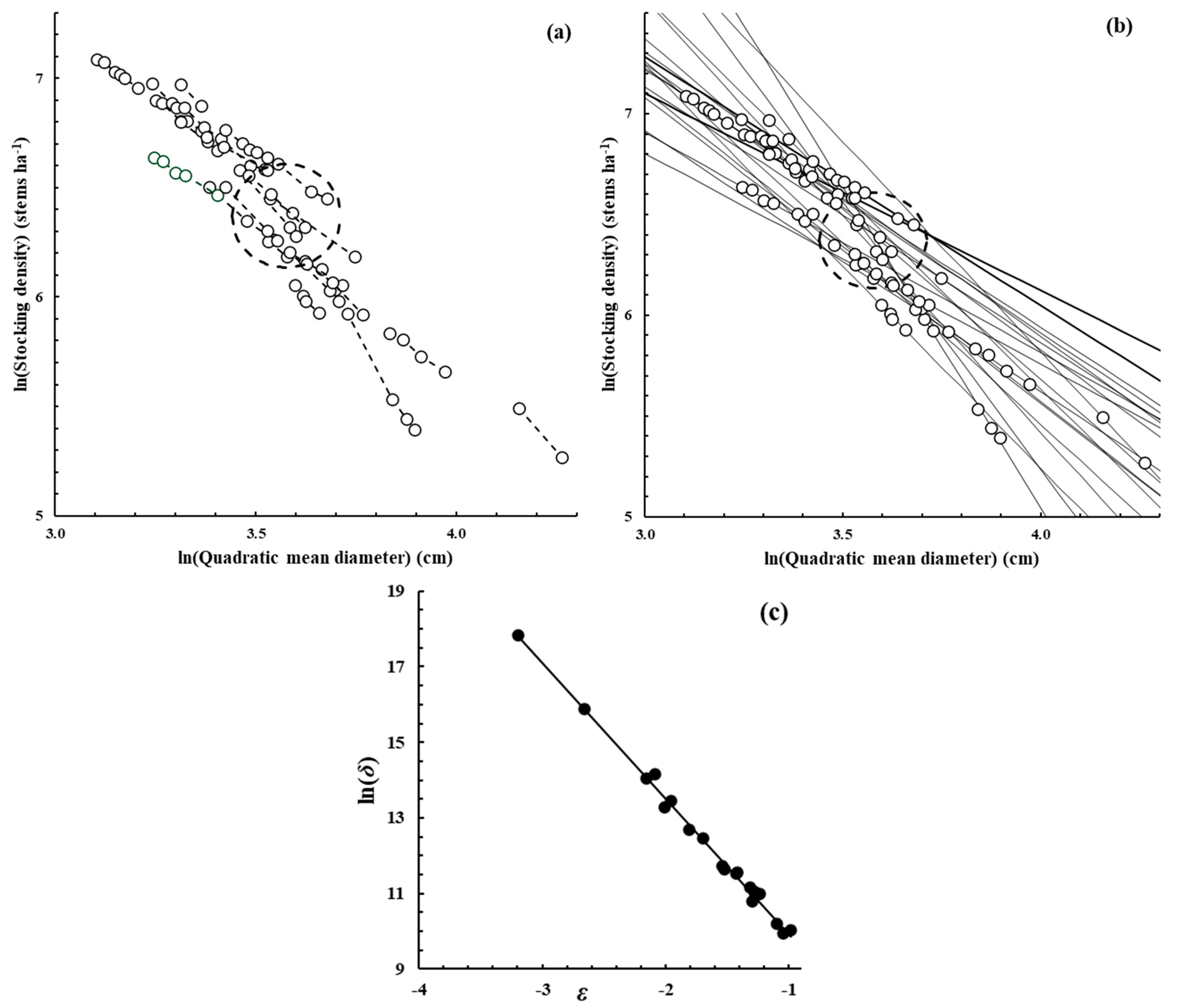 Forests 16 00199 g001 Forests 16 00199 g001
