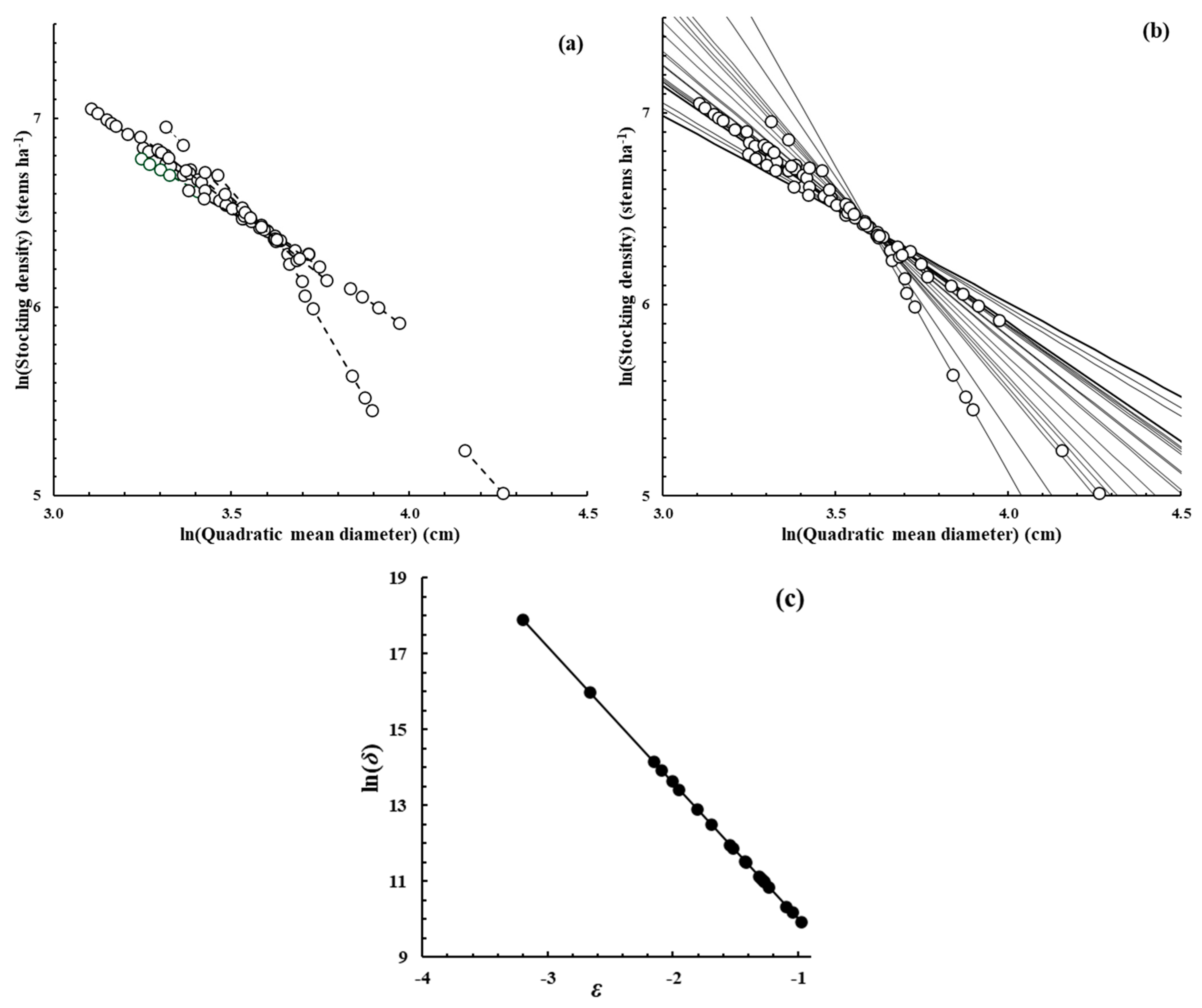 Forests 16 00199 g002 Forests 16 00199 g002