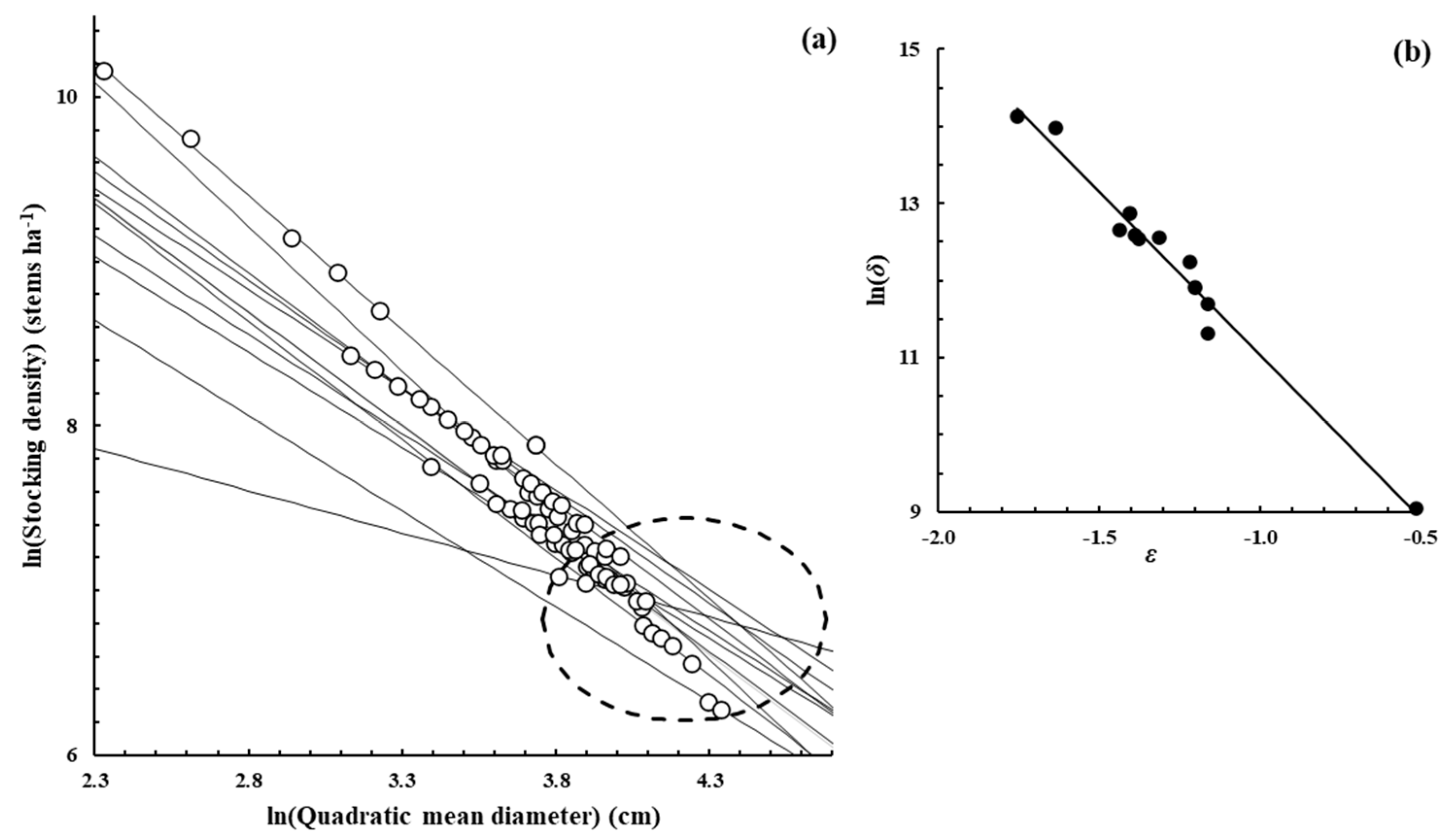 Forests 16 00199 g0a4 Forests 16 00199 g0a4