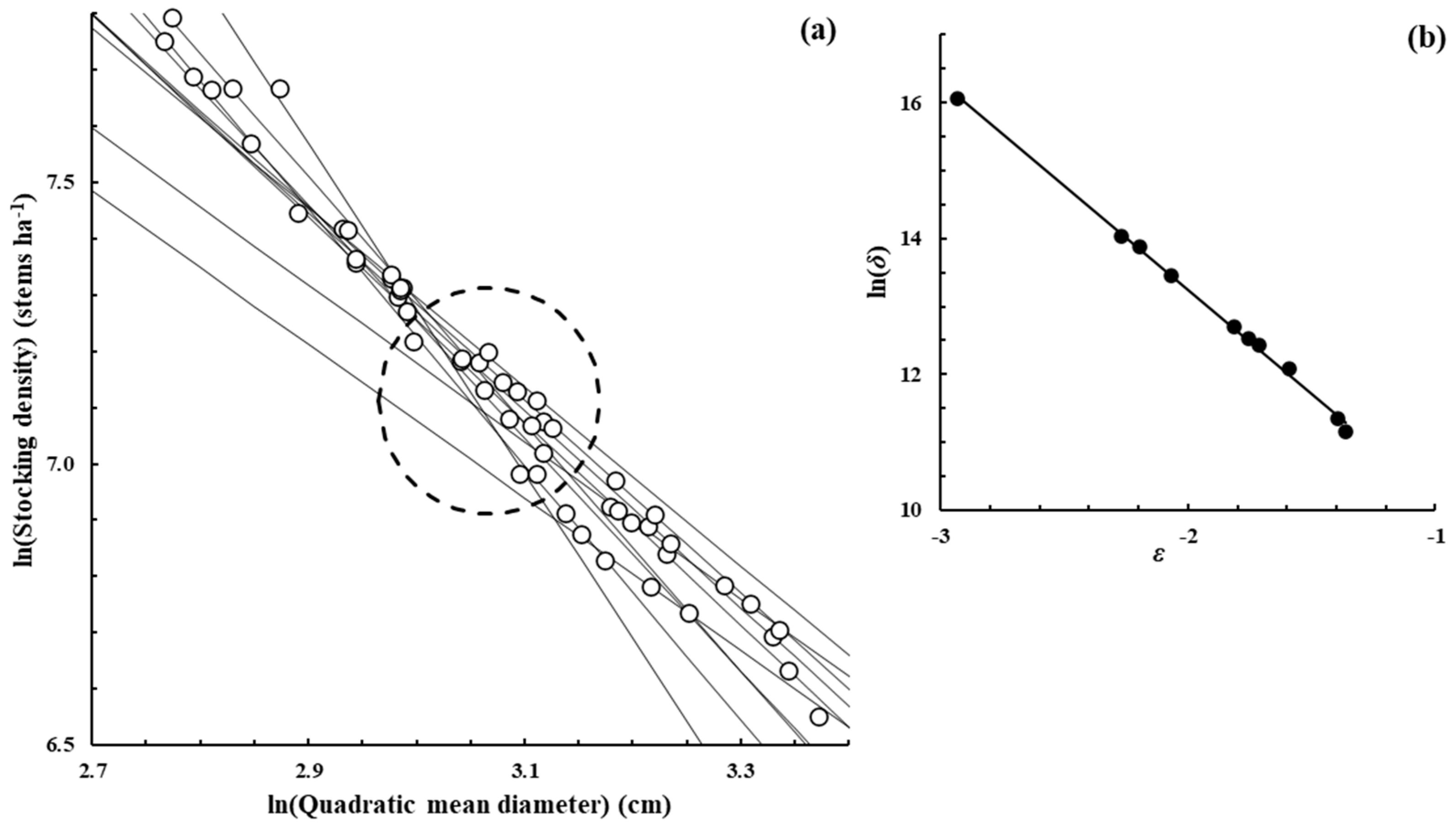 Forests 16 00199 g0a8 Forests 16 00199 g0a8