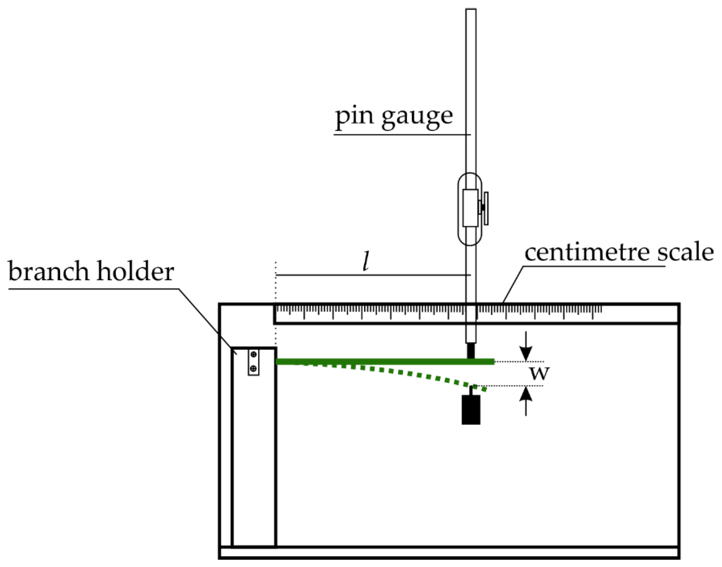 Forests 16 00206 g001