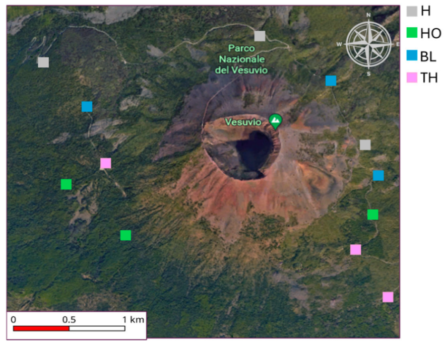 Forests 16 00209 g002