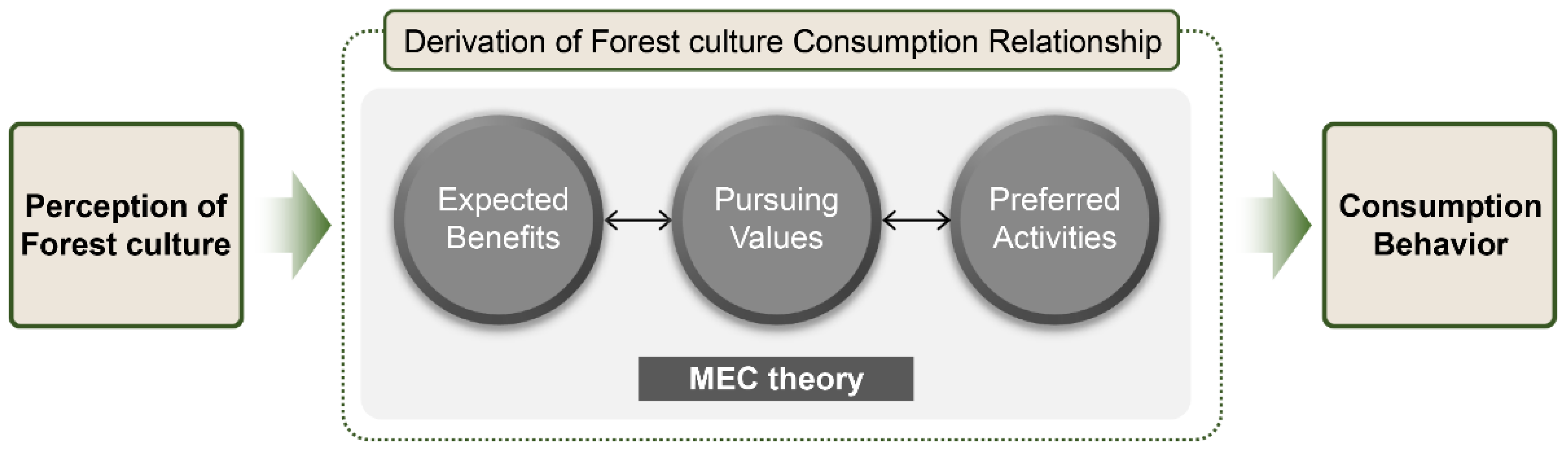 Forests 16 00213 g002