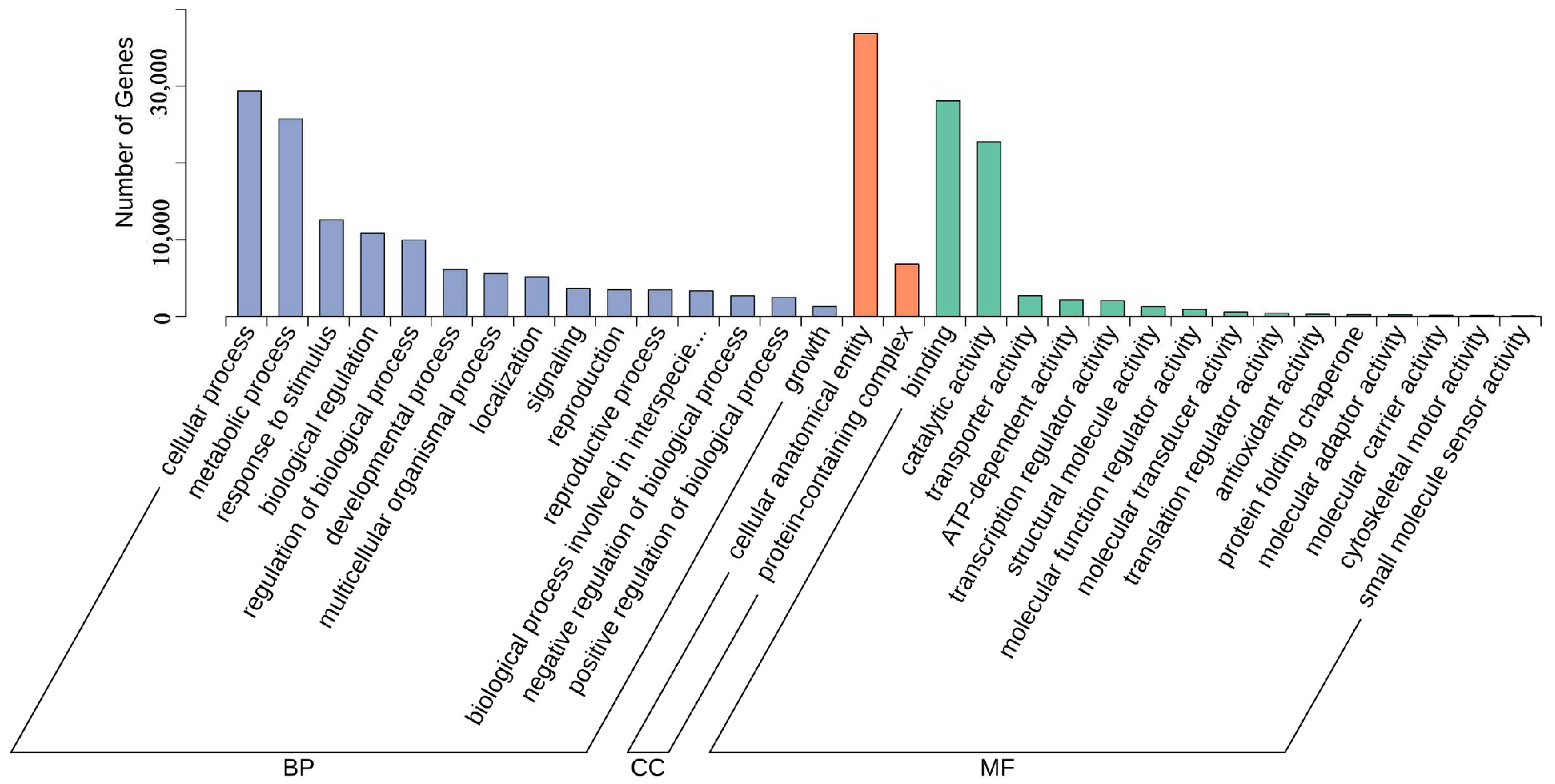 Forests 16 00218 g004