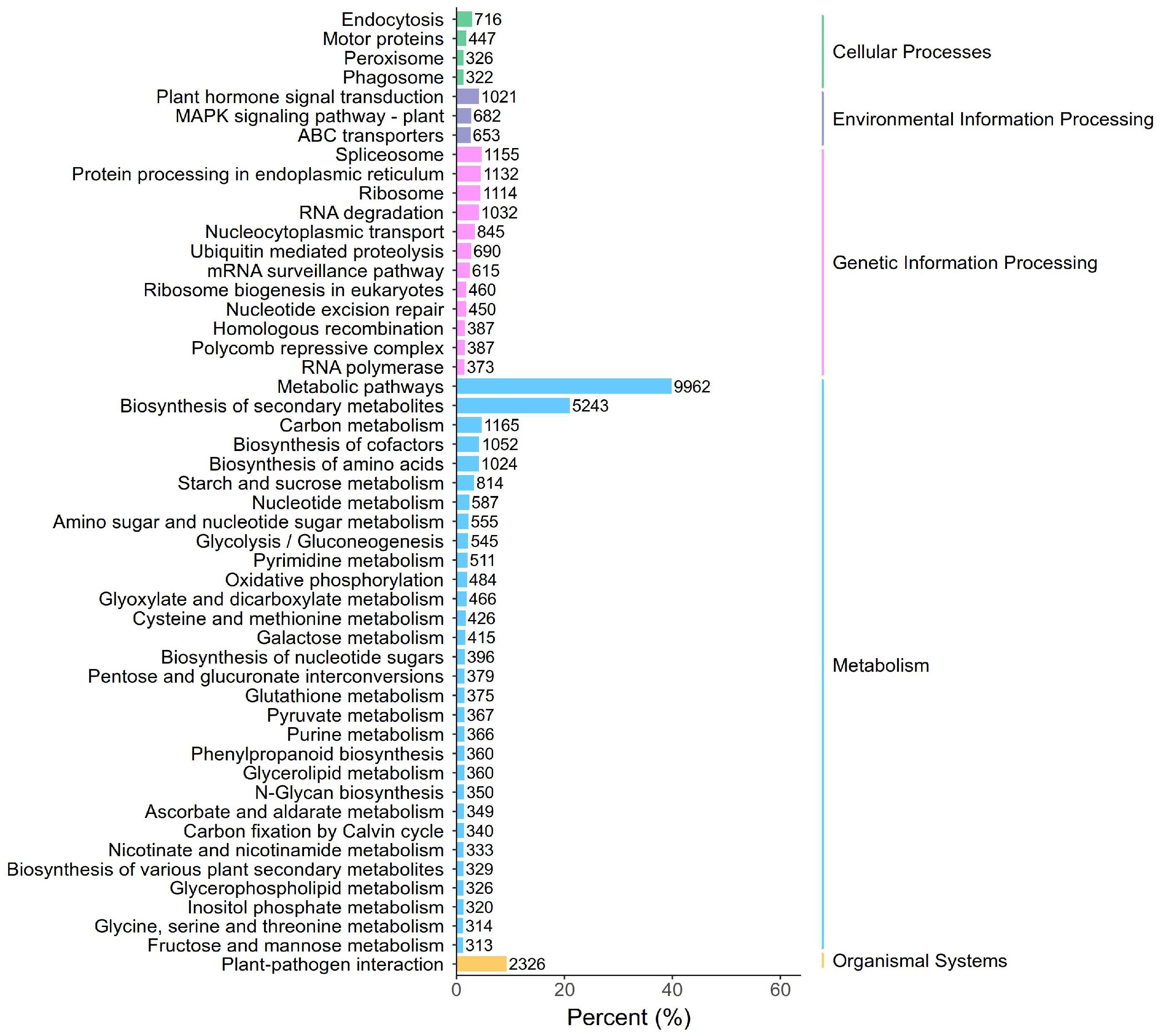 Forests 16 00218 g005