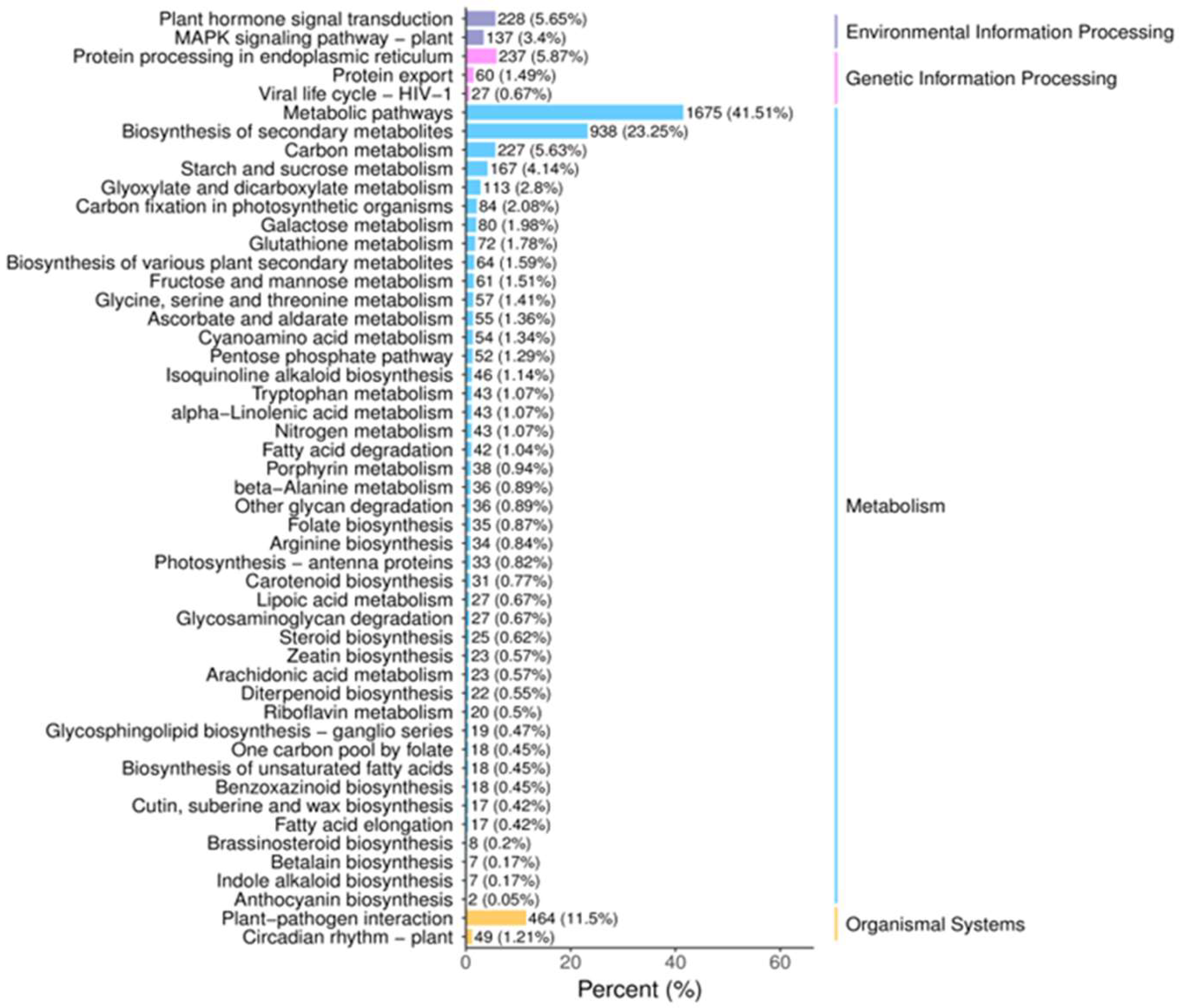 Forests 16 00218 g007
