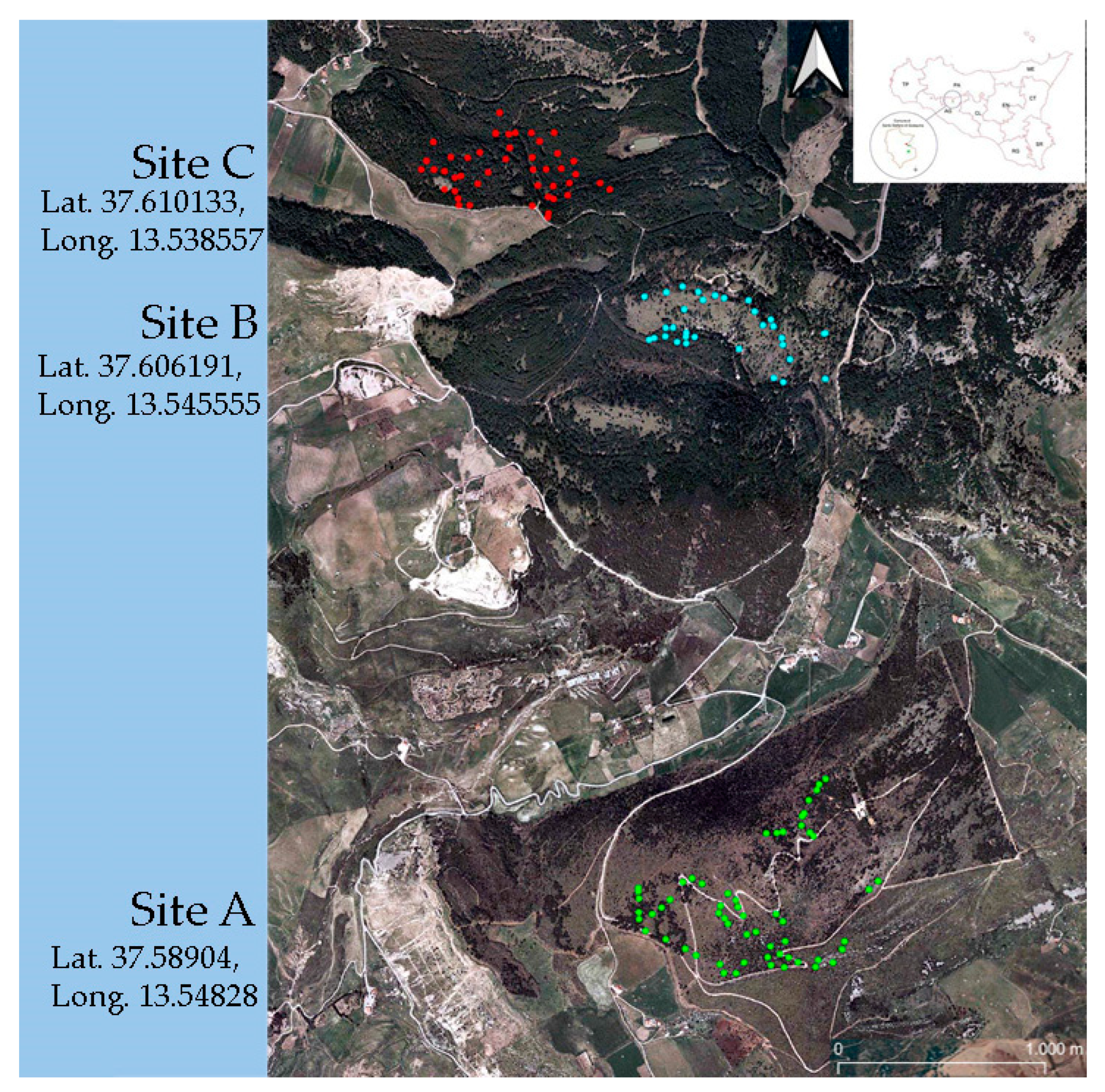 Forests 16 00226 g001