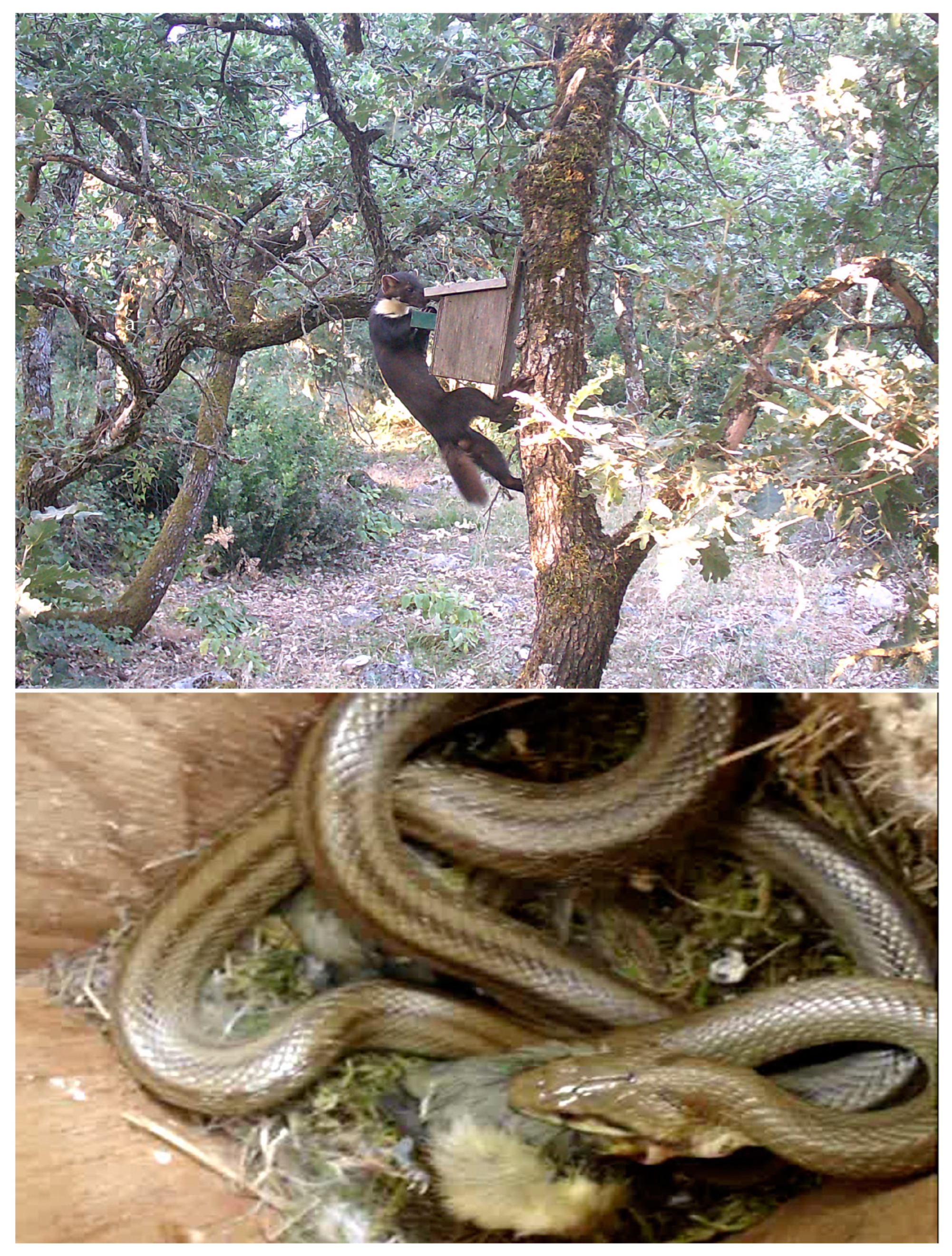 Forests 16 00226 g002