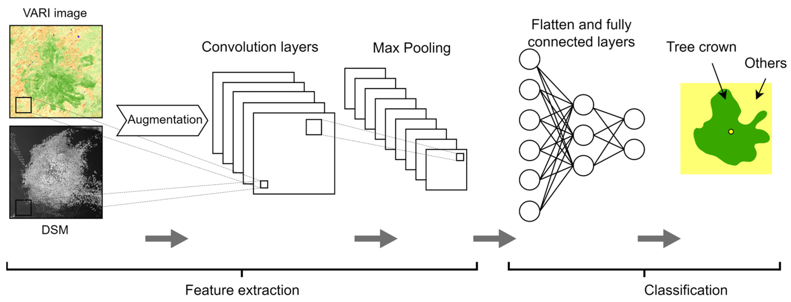 Forests 16 00228 g003 Forests 16 00228 g003