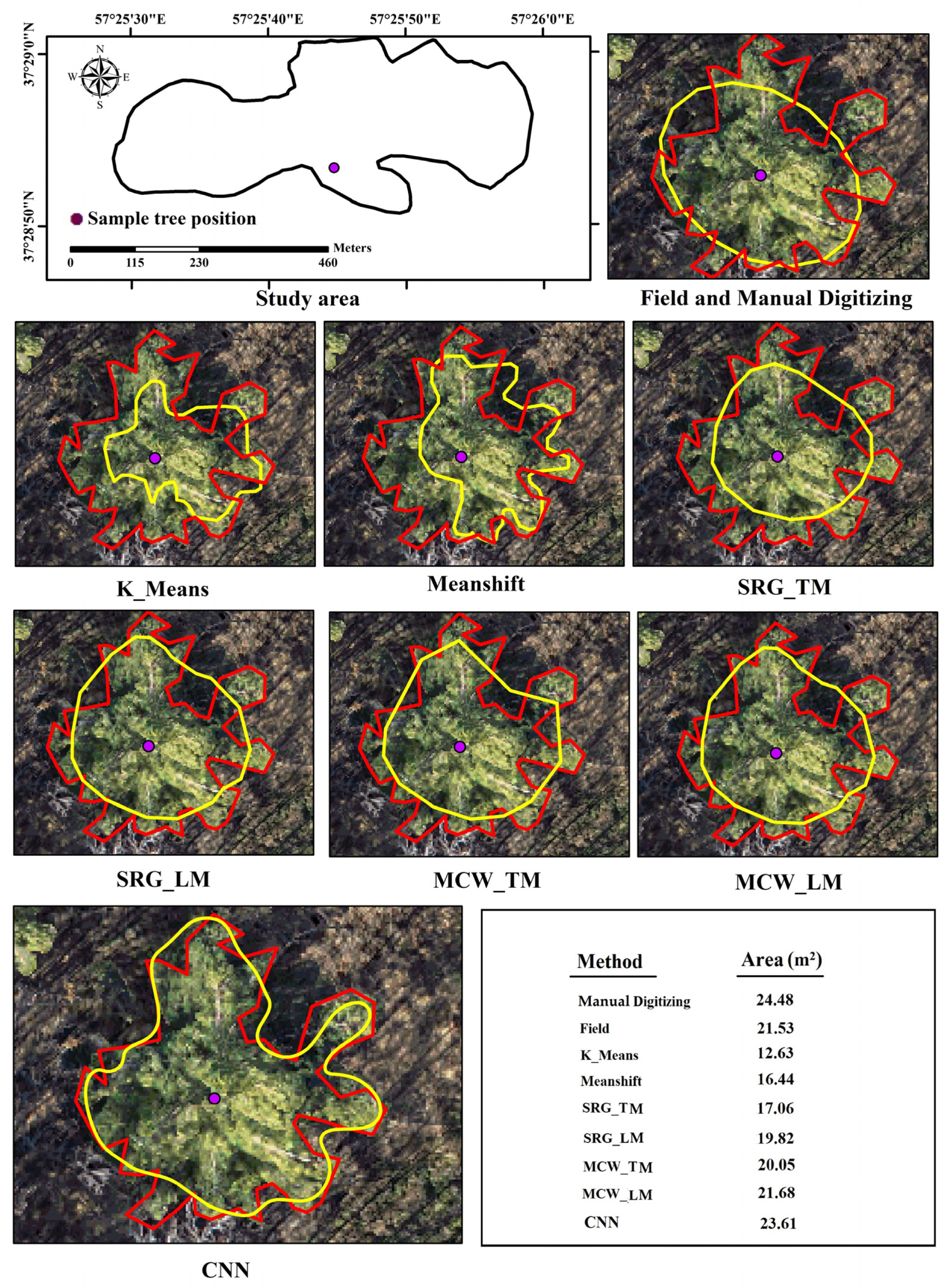 Forests 16 00228 g006 Forests 16 00228 g006