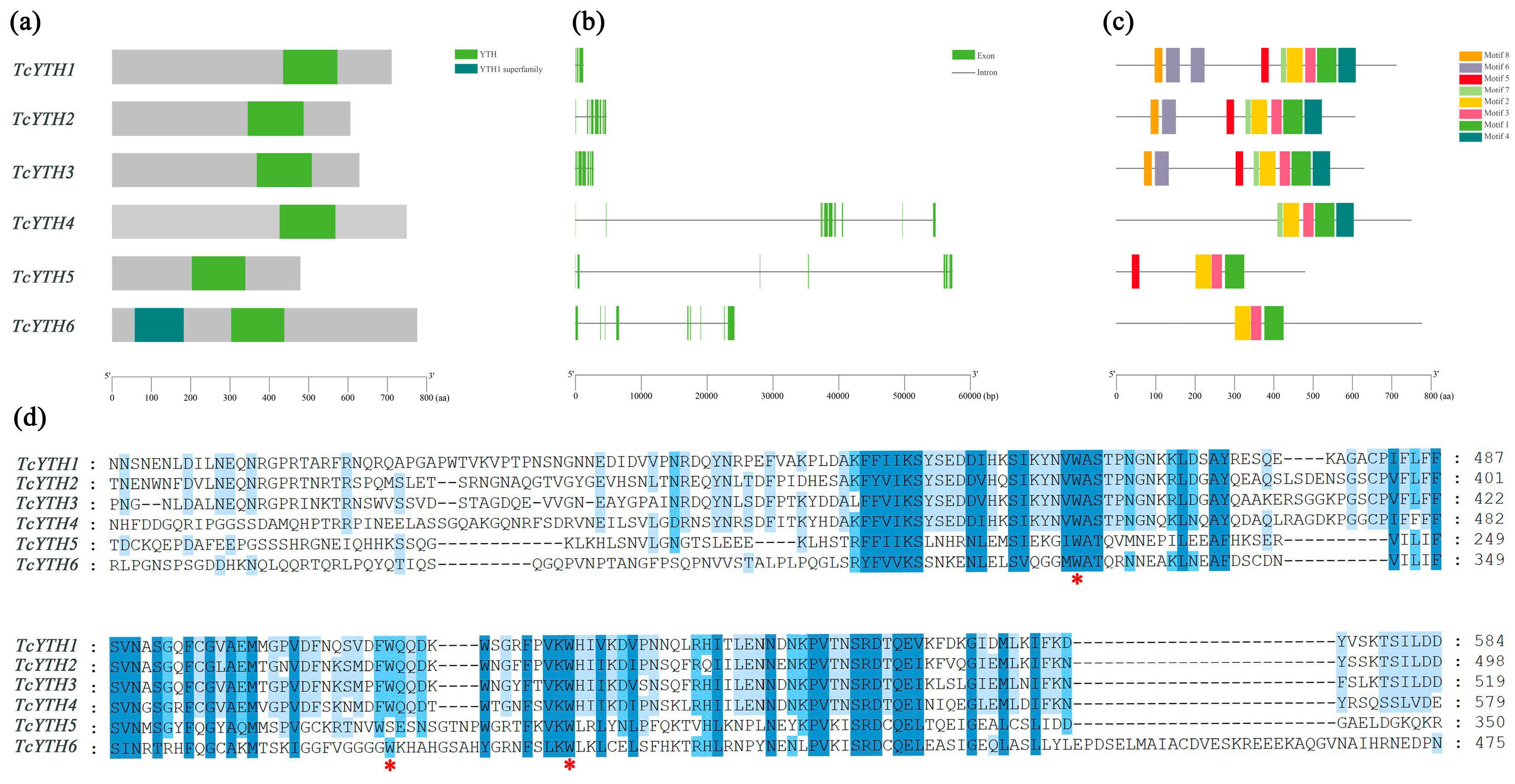 Forests 16 00236 g002