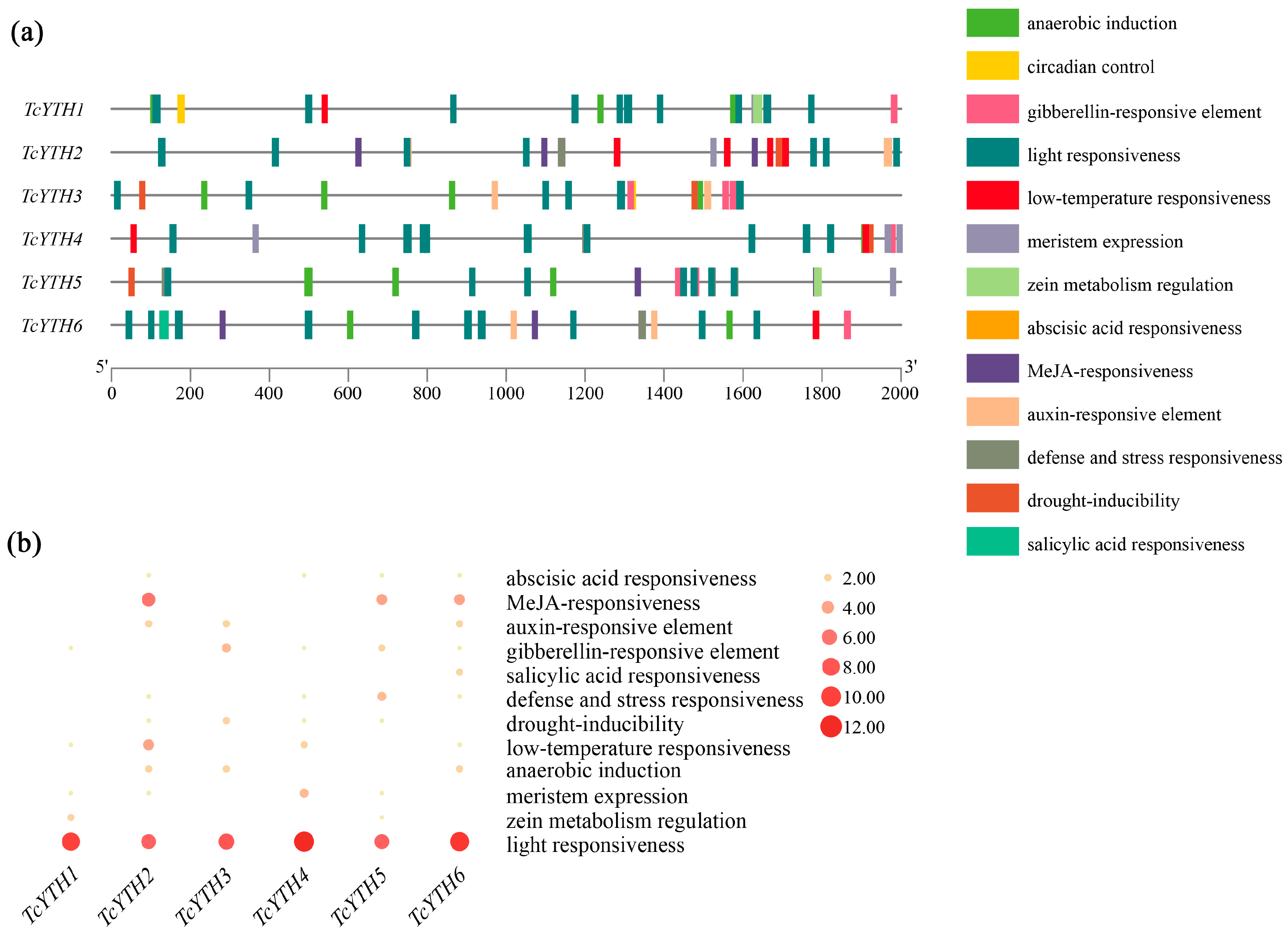 Forests 16 00236 g005