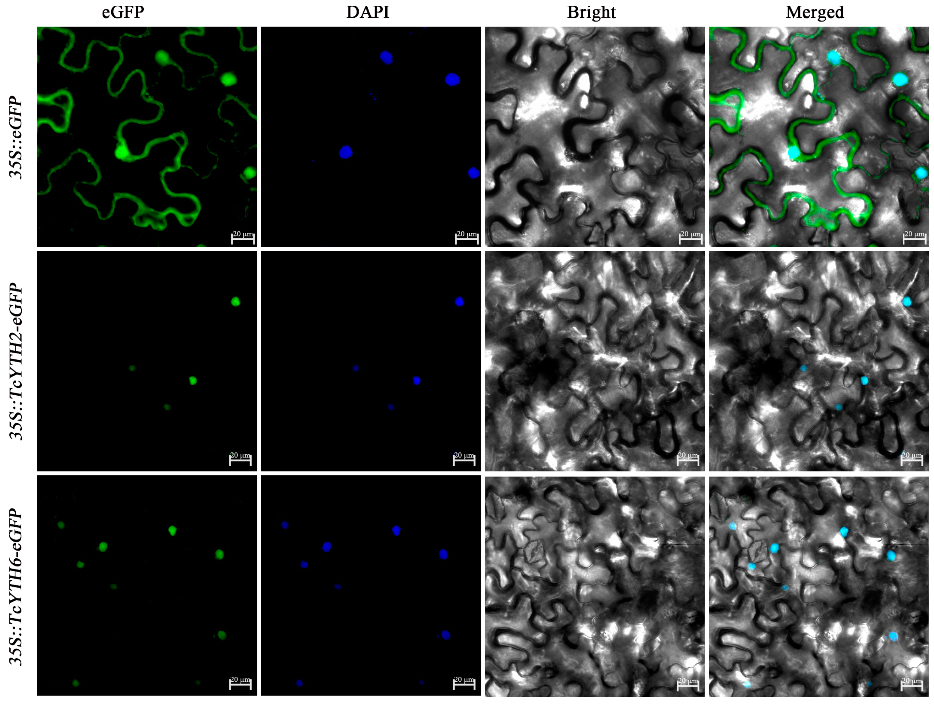 Forests 16 00236 g008