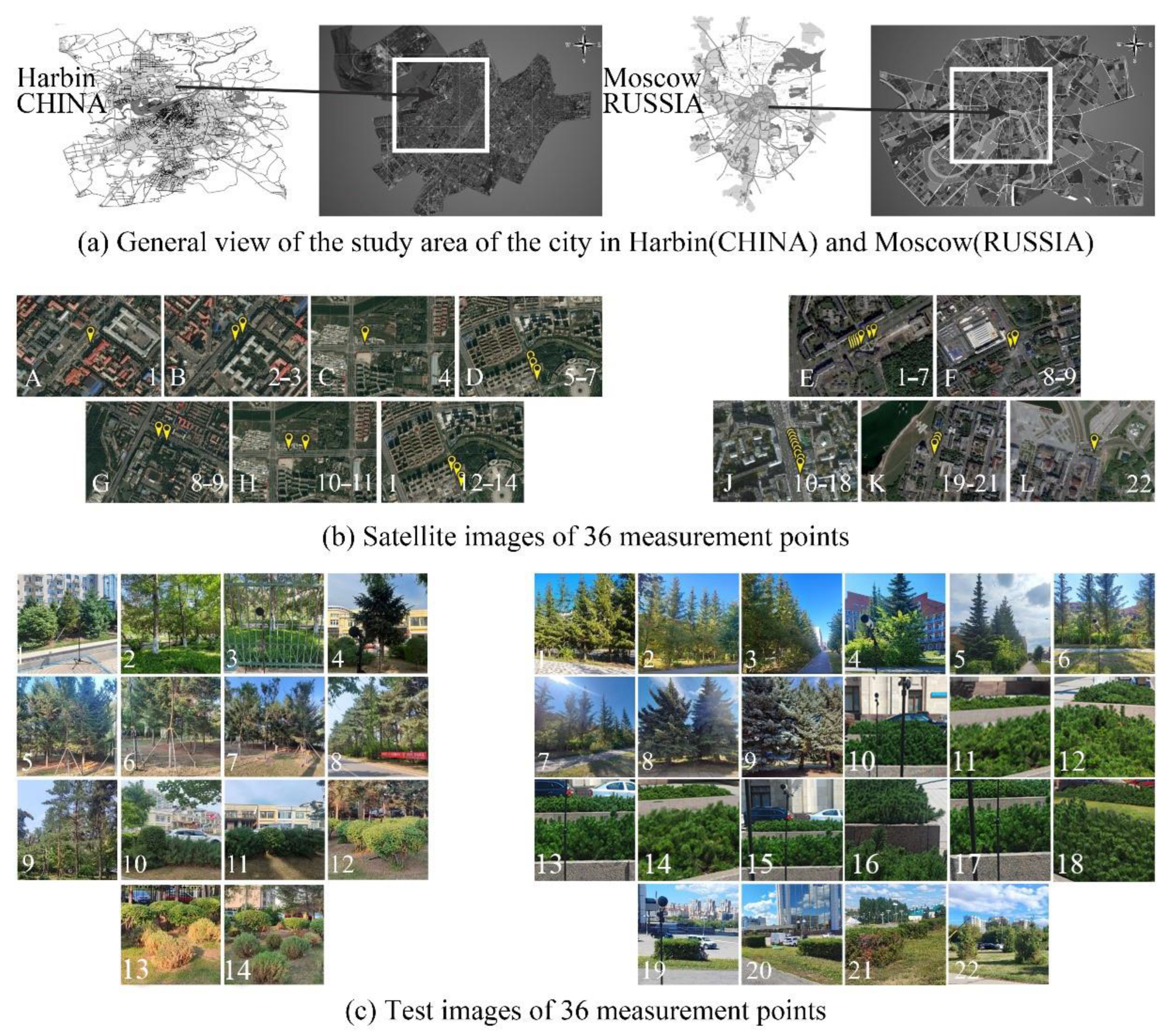 Forests 16 00238 g001