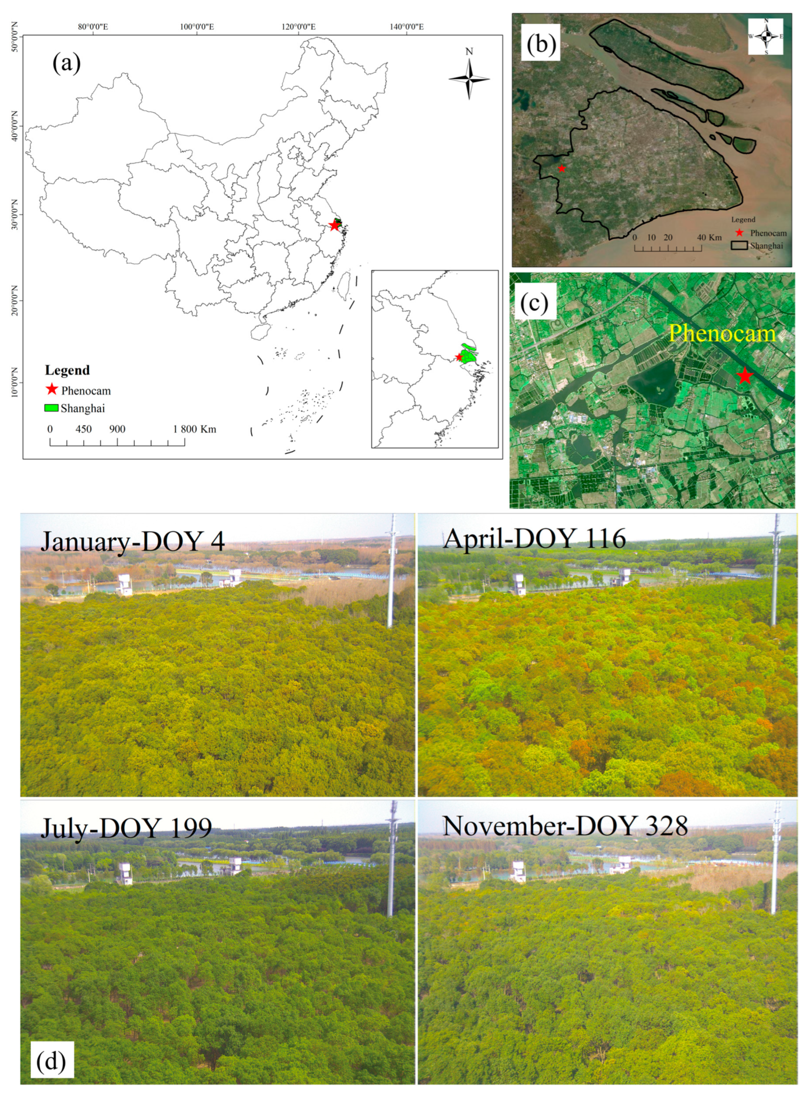 Forests 16 00239 g001