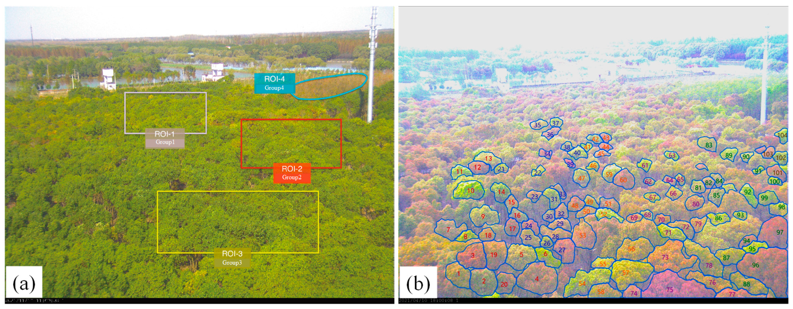Forests 16 00239 g002