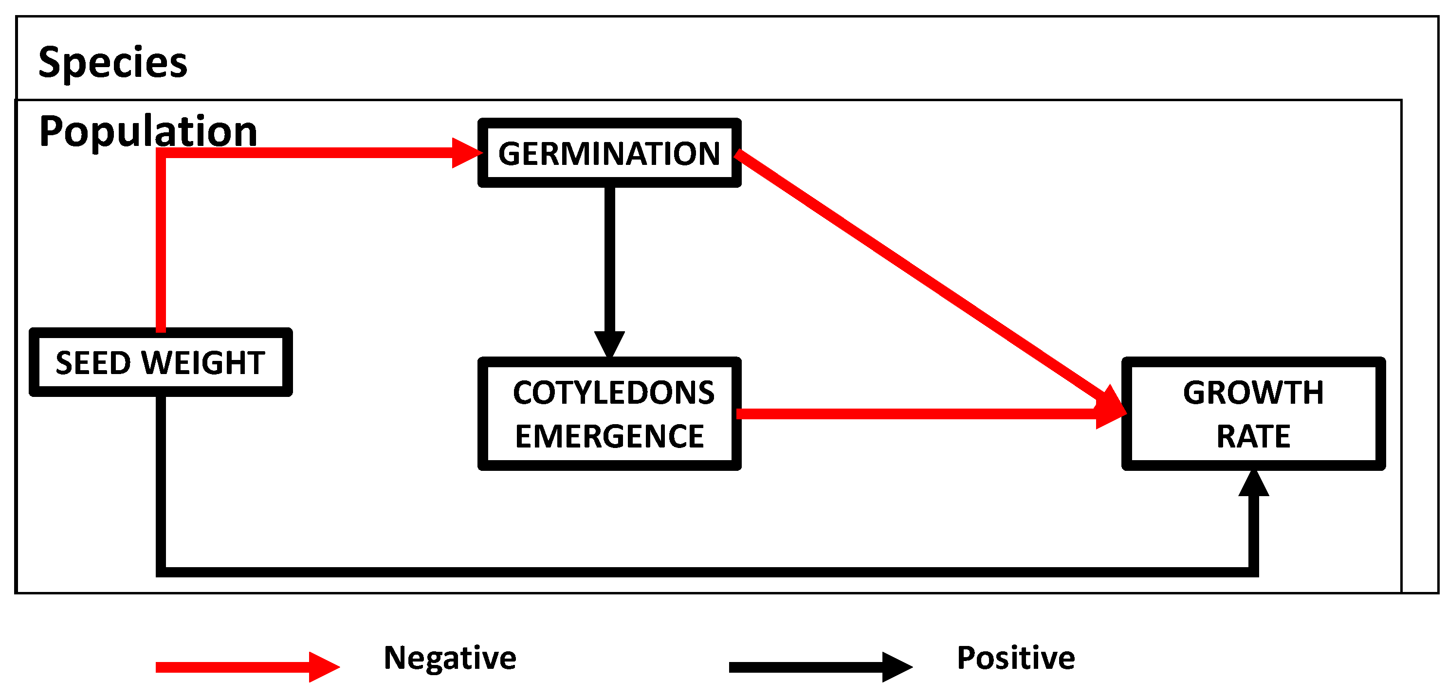 Forests 16 00252 g002